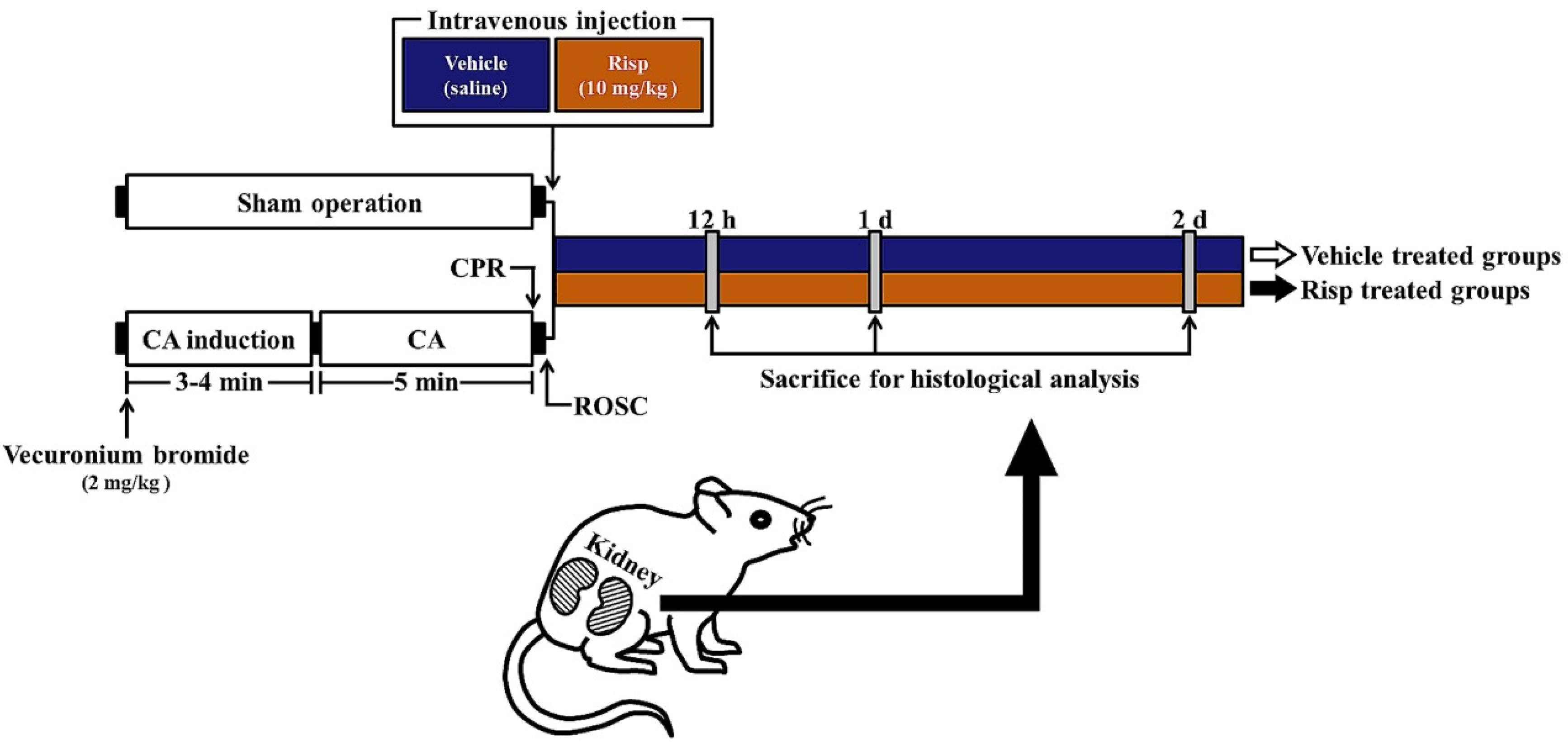 Vetsci 10 00184 g001