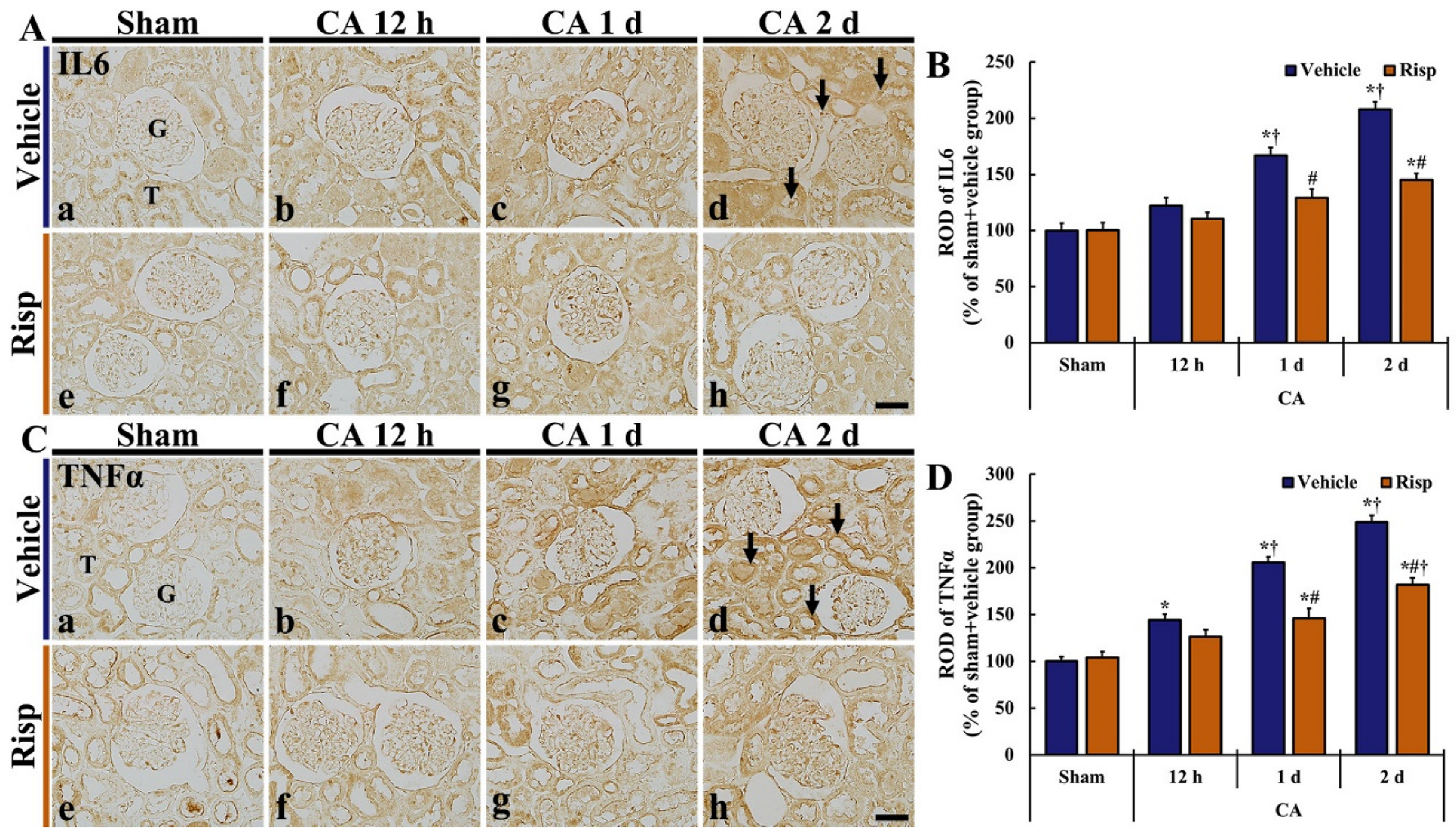 Vetsci 10 00184 g005