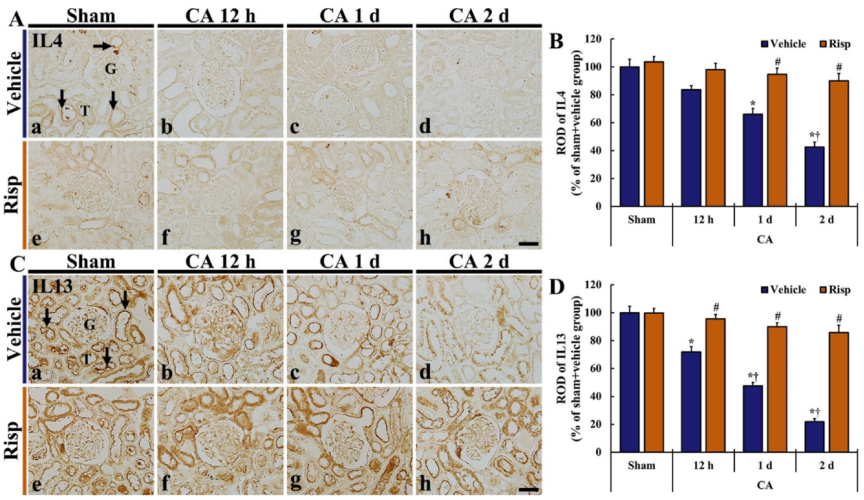 Vetsci 10 00184 g006