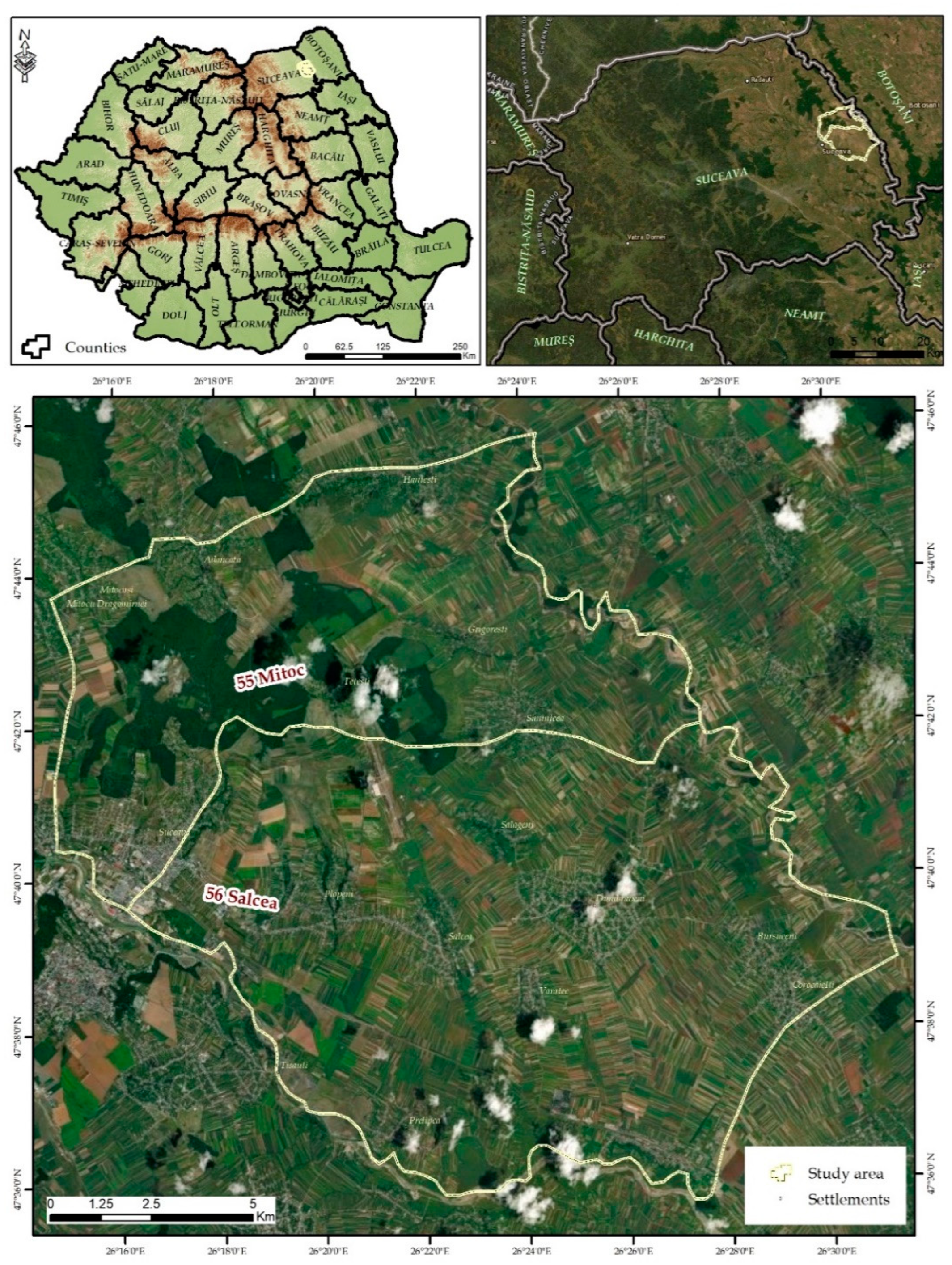 Vetsci 10 00188 g001 Vetsci 10 00188 g001