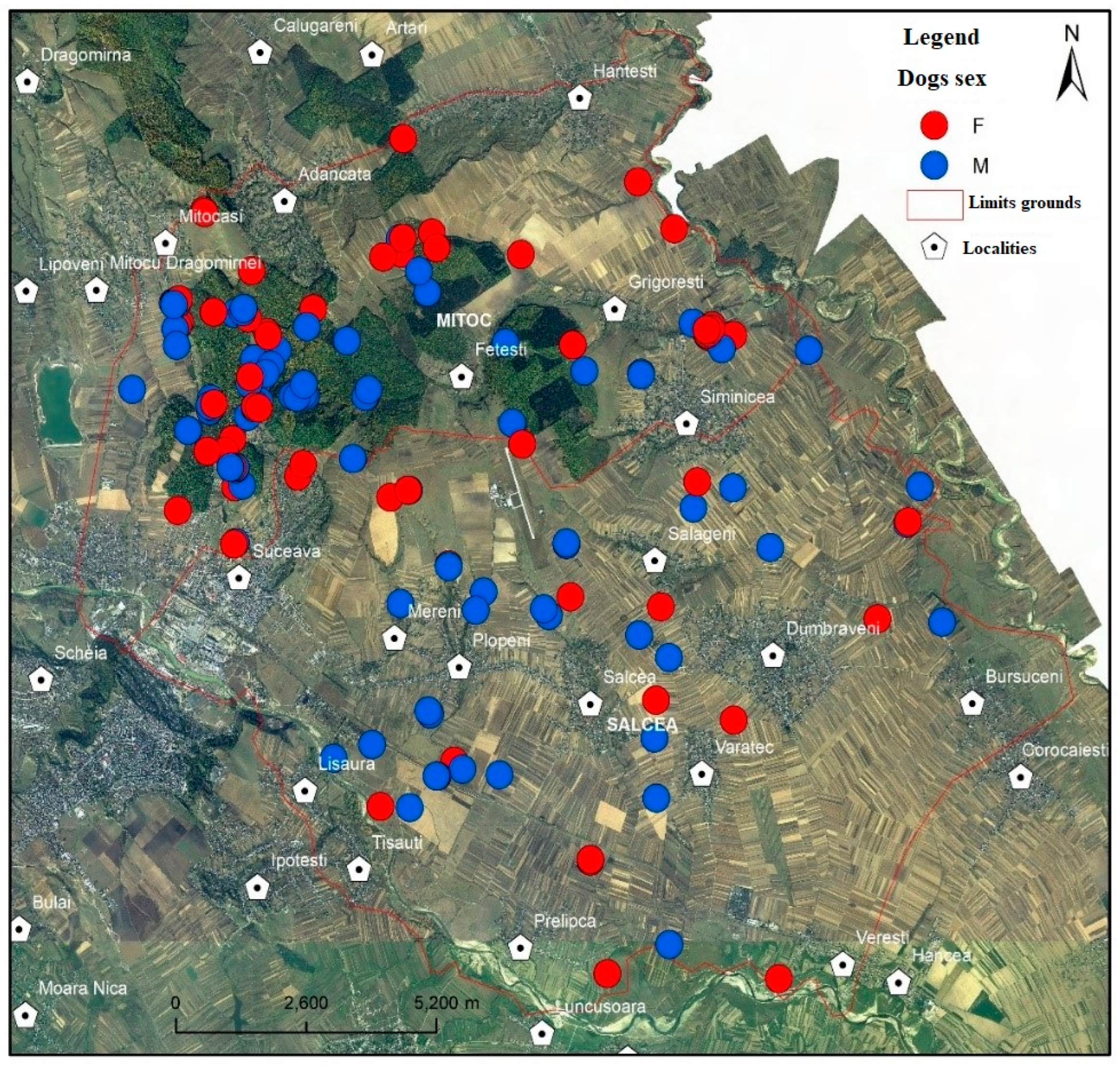 Vetsci 10 00188 g005 Vetsci 10 00188 g005