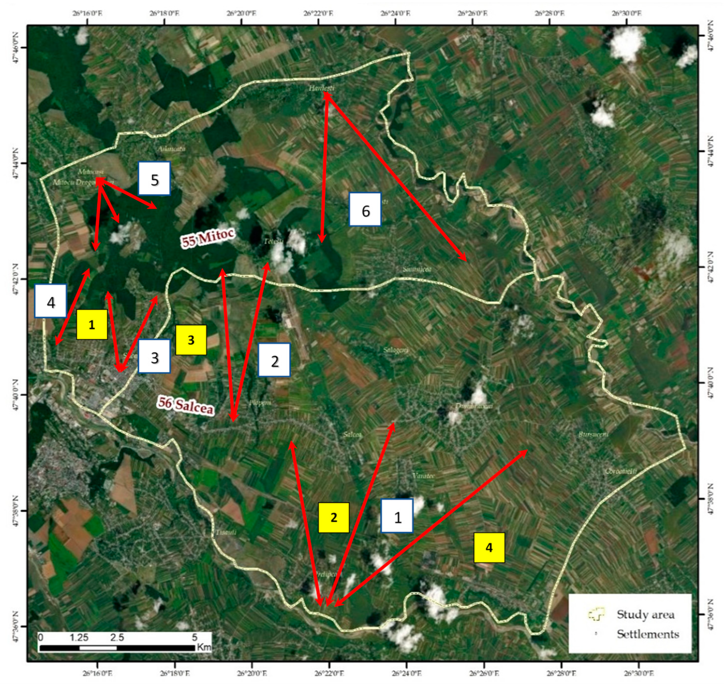 Vetsci 10 00188 g006 Vetsci 10 00188 g006