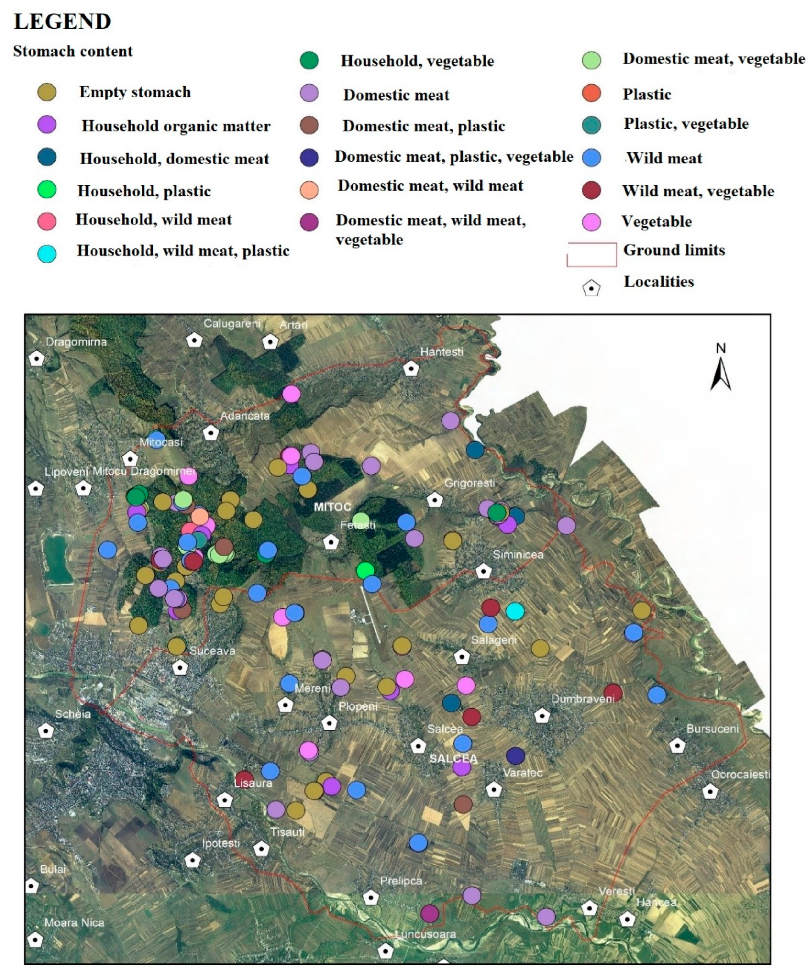Vetsci 10 00188 g015 Vetsci 10 00188 g015