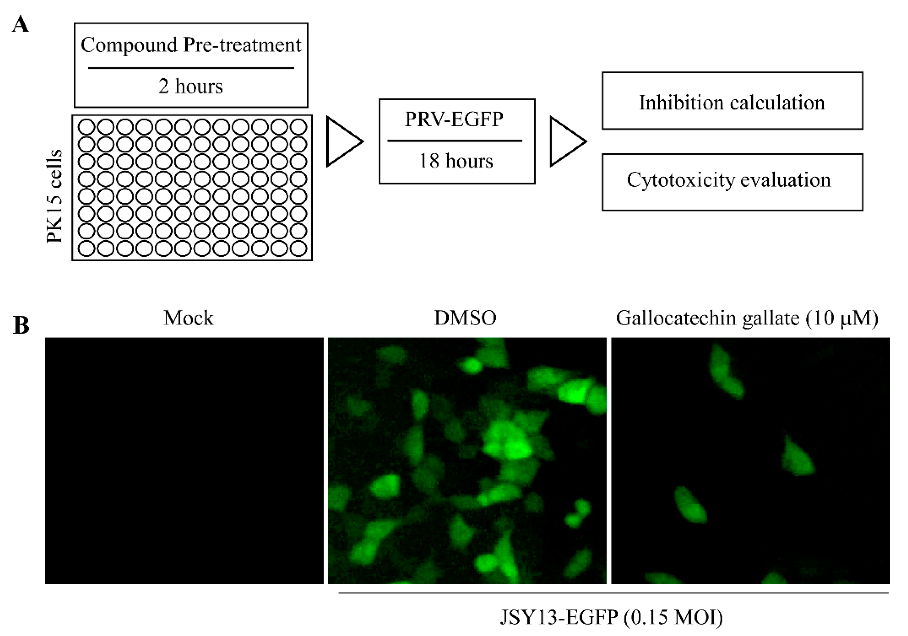 Vetsci 10 00189 g001 Vetsci 10 00189 g001