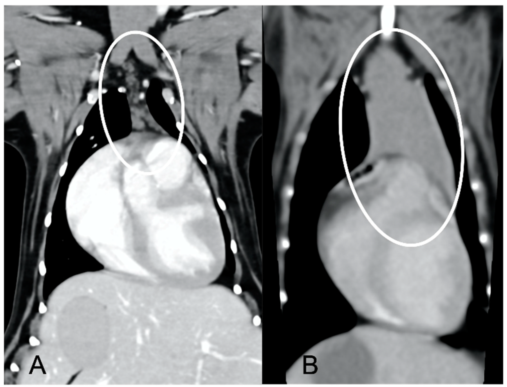 Vetsci 10 00192 g001