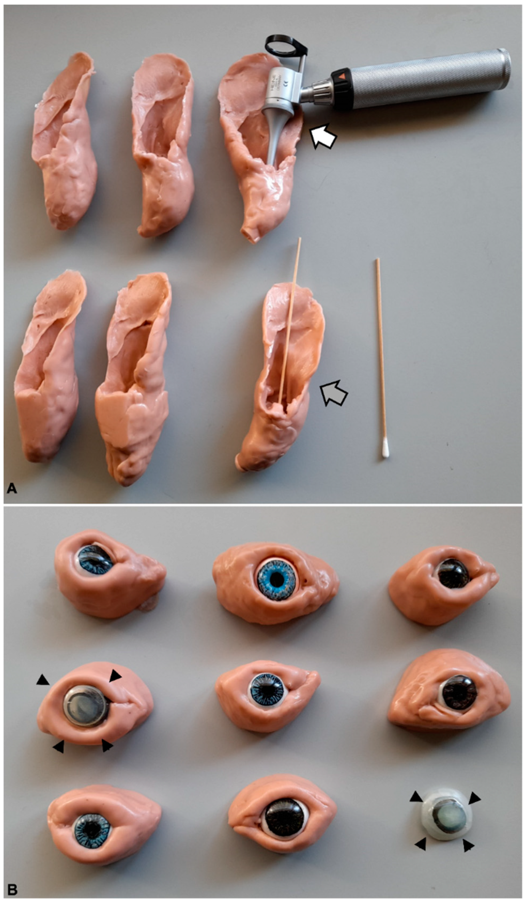 Vetsci 10 00193 g001