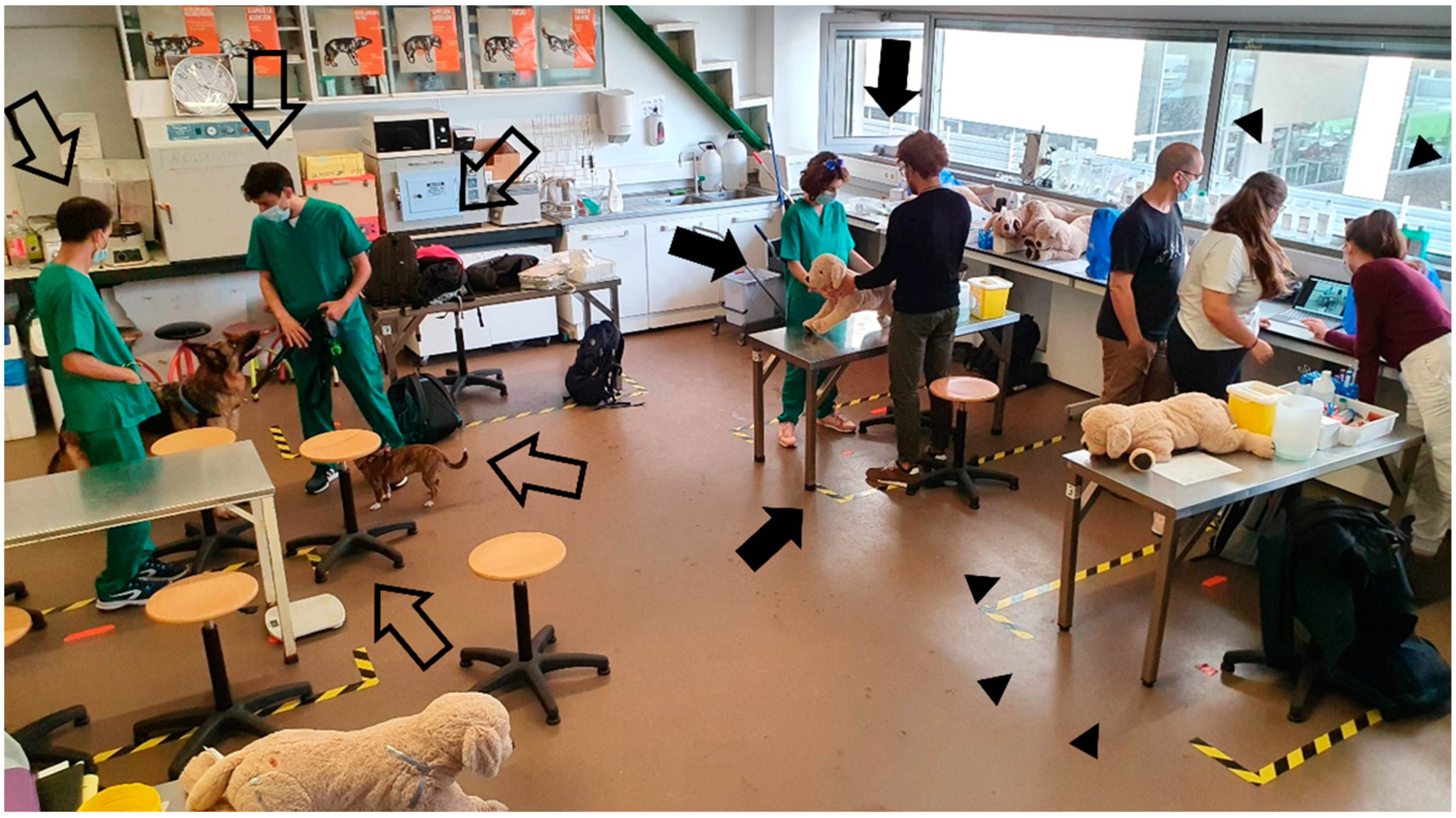 Vetsci 10 00193 g005