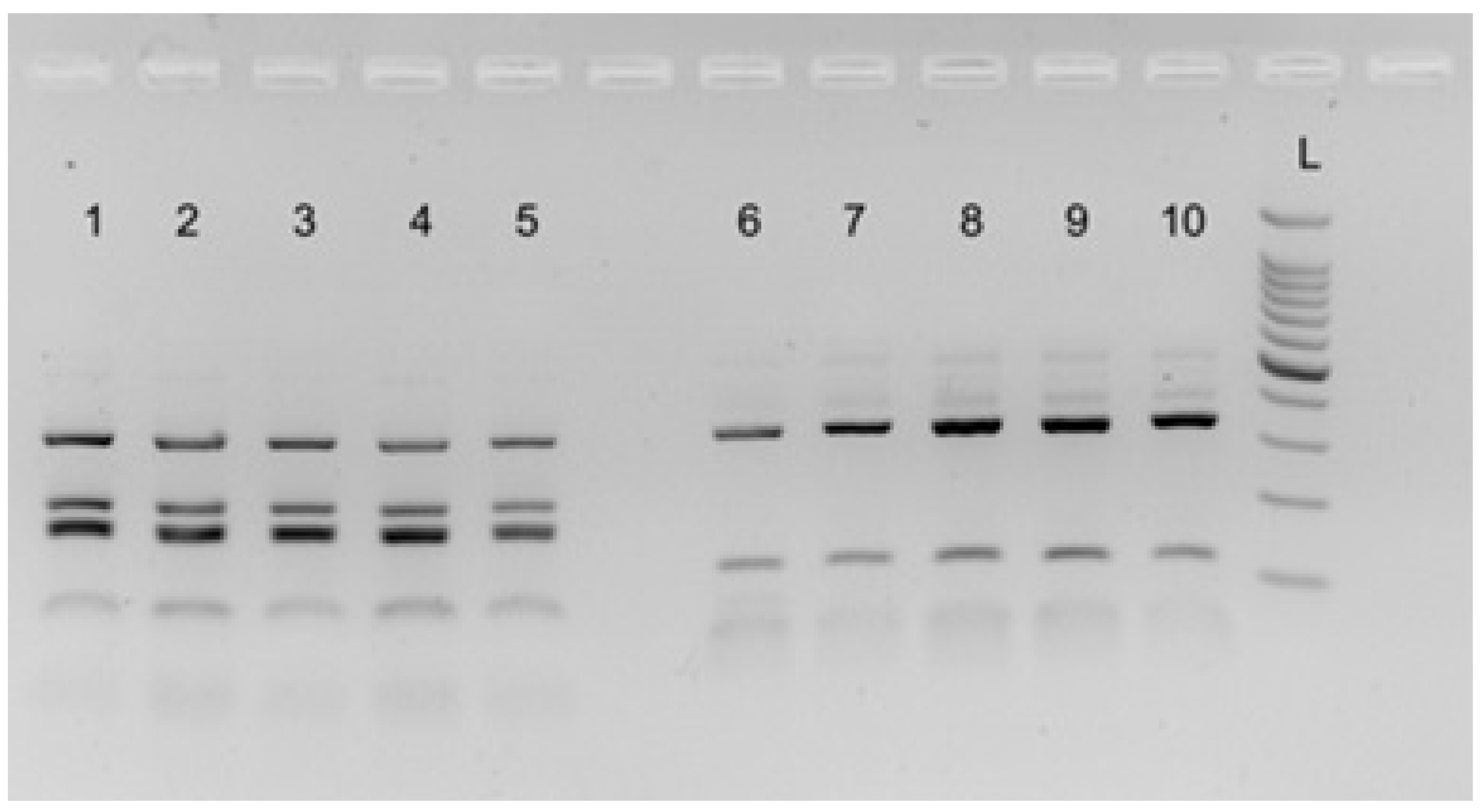 Vetsci 10 00194 g003