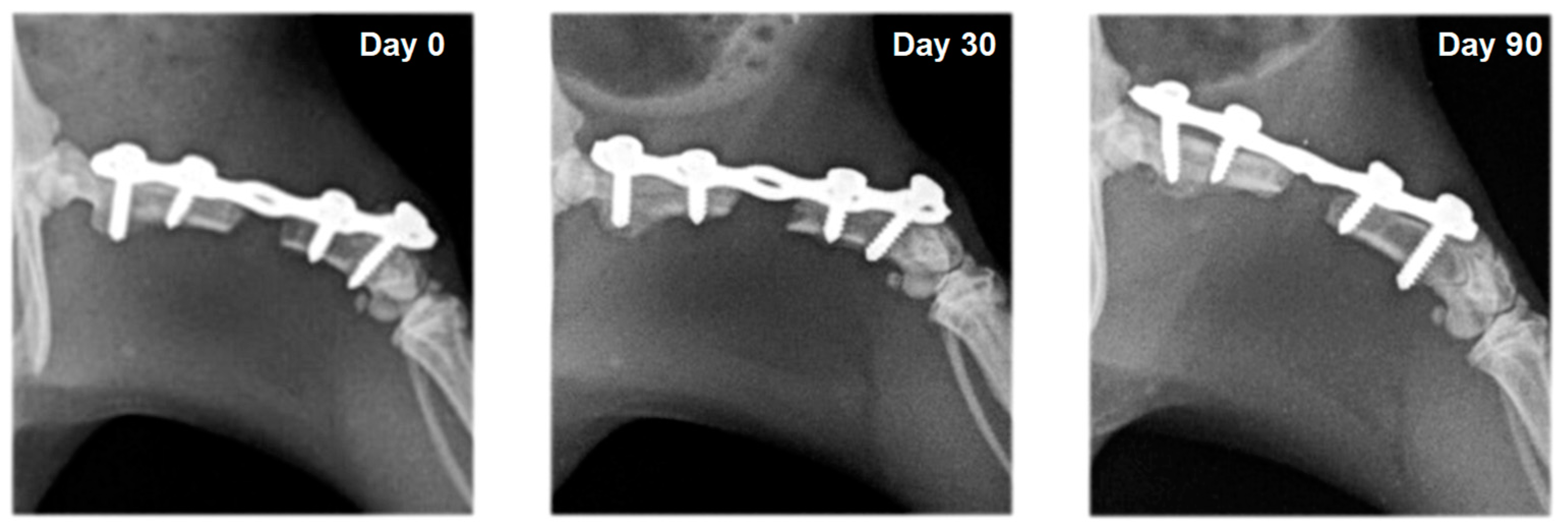 Vetsci 10 00196 g003 Vetsci 10 00196 g003