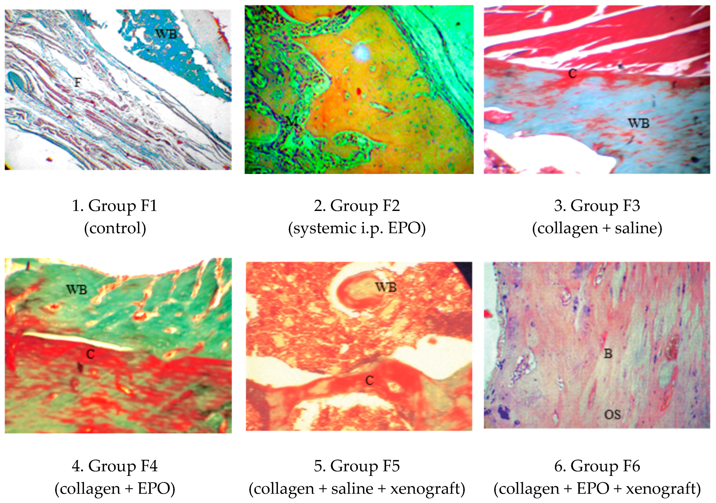 Vetsci 10 00196 g009 Vetsci 10 00196 g009