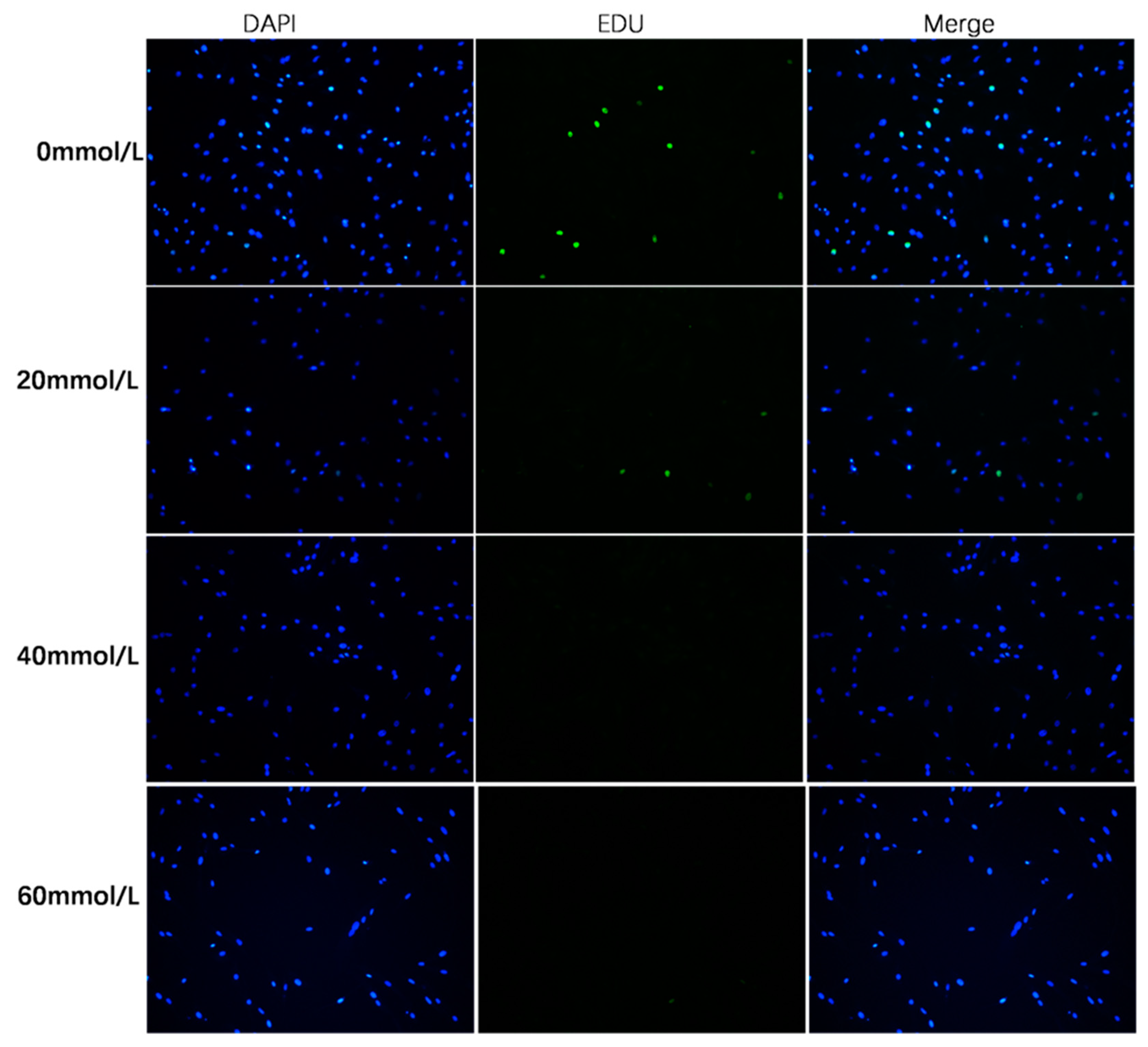 Vetsci 10 00201 g004 Vetsci 10 00201 g004