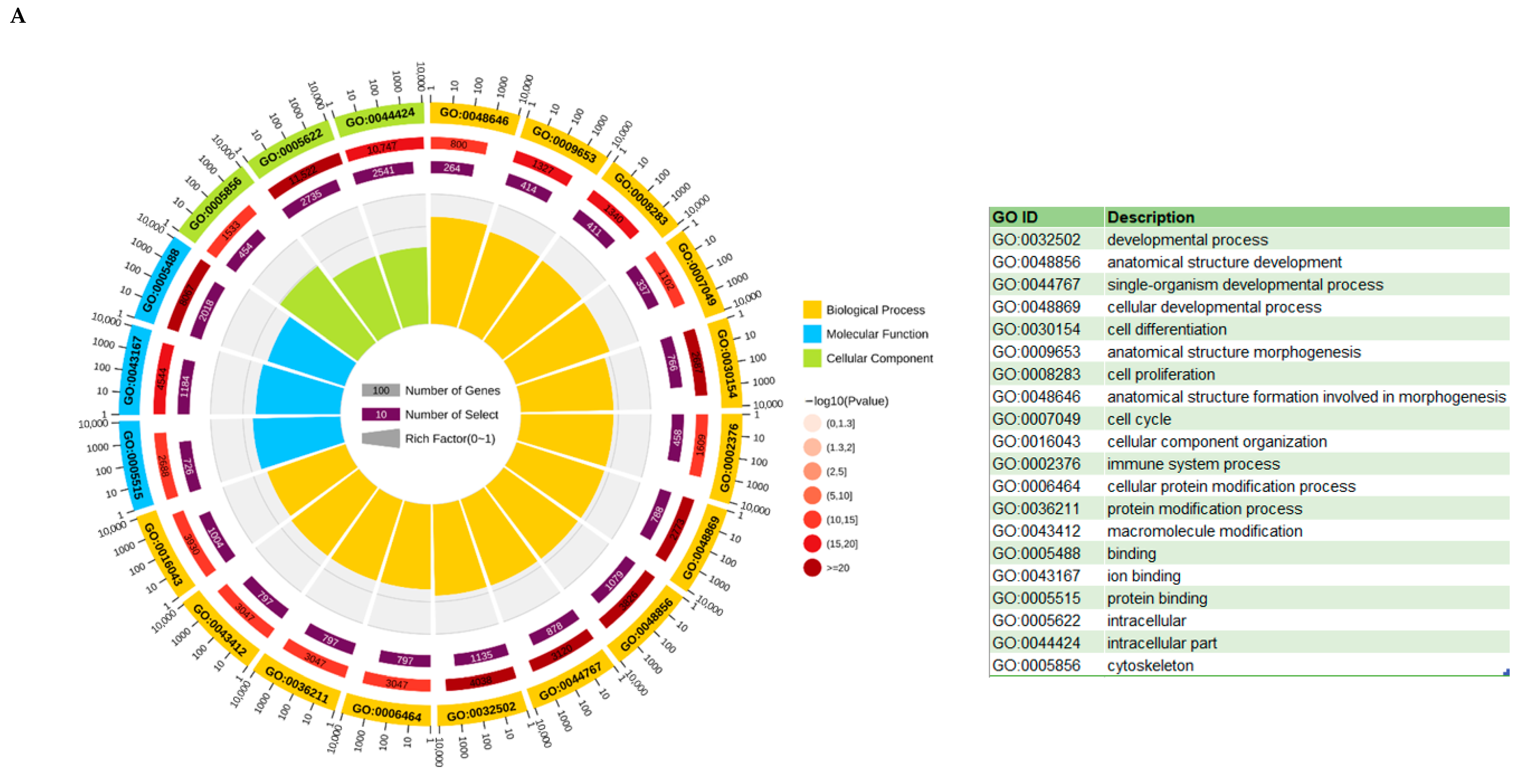 Vetsci 10 00201 g009a Vetsci 10 00201 g009a