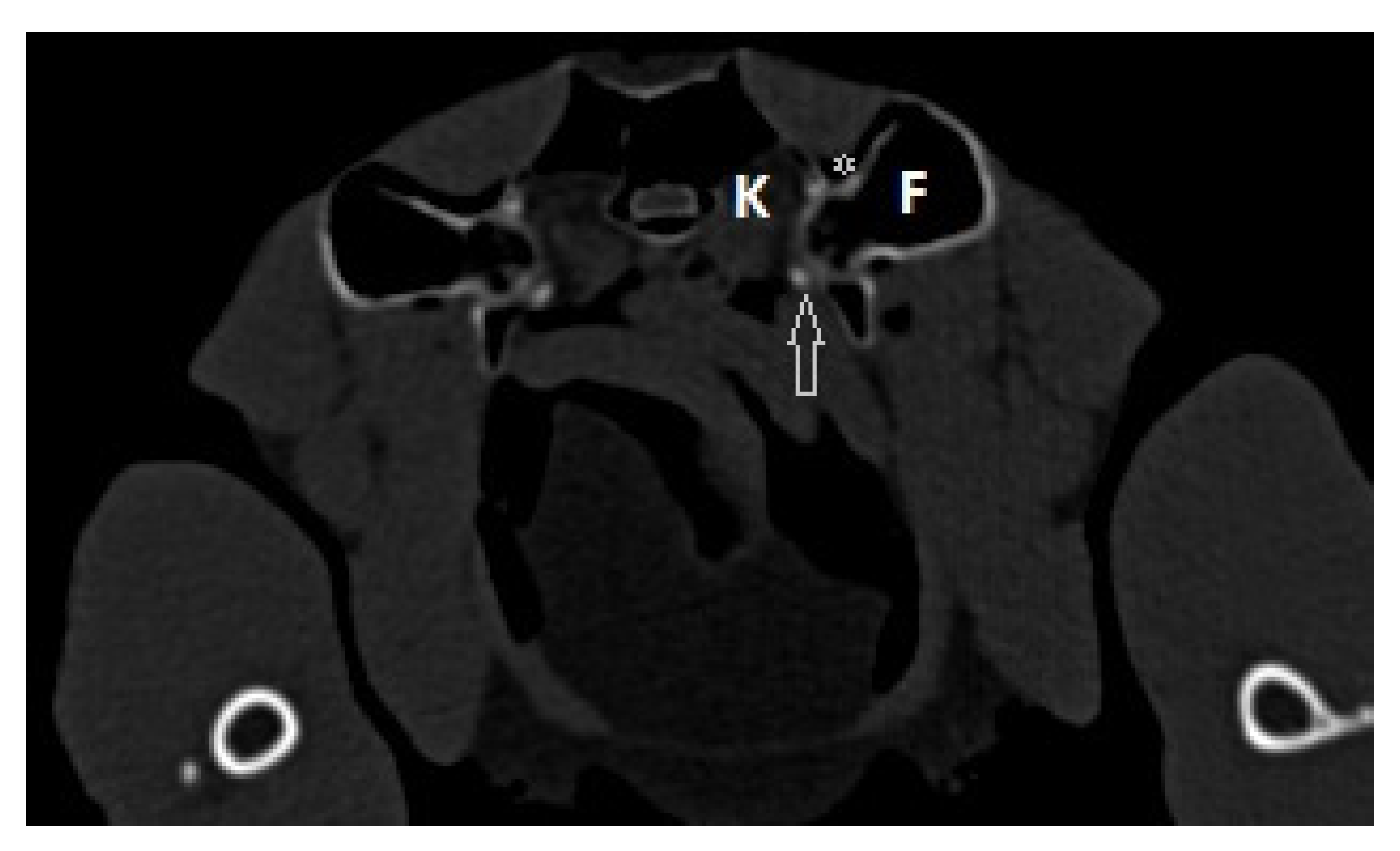 Vetsci 10 00205 g006 550