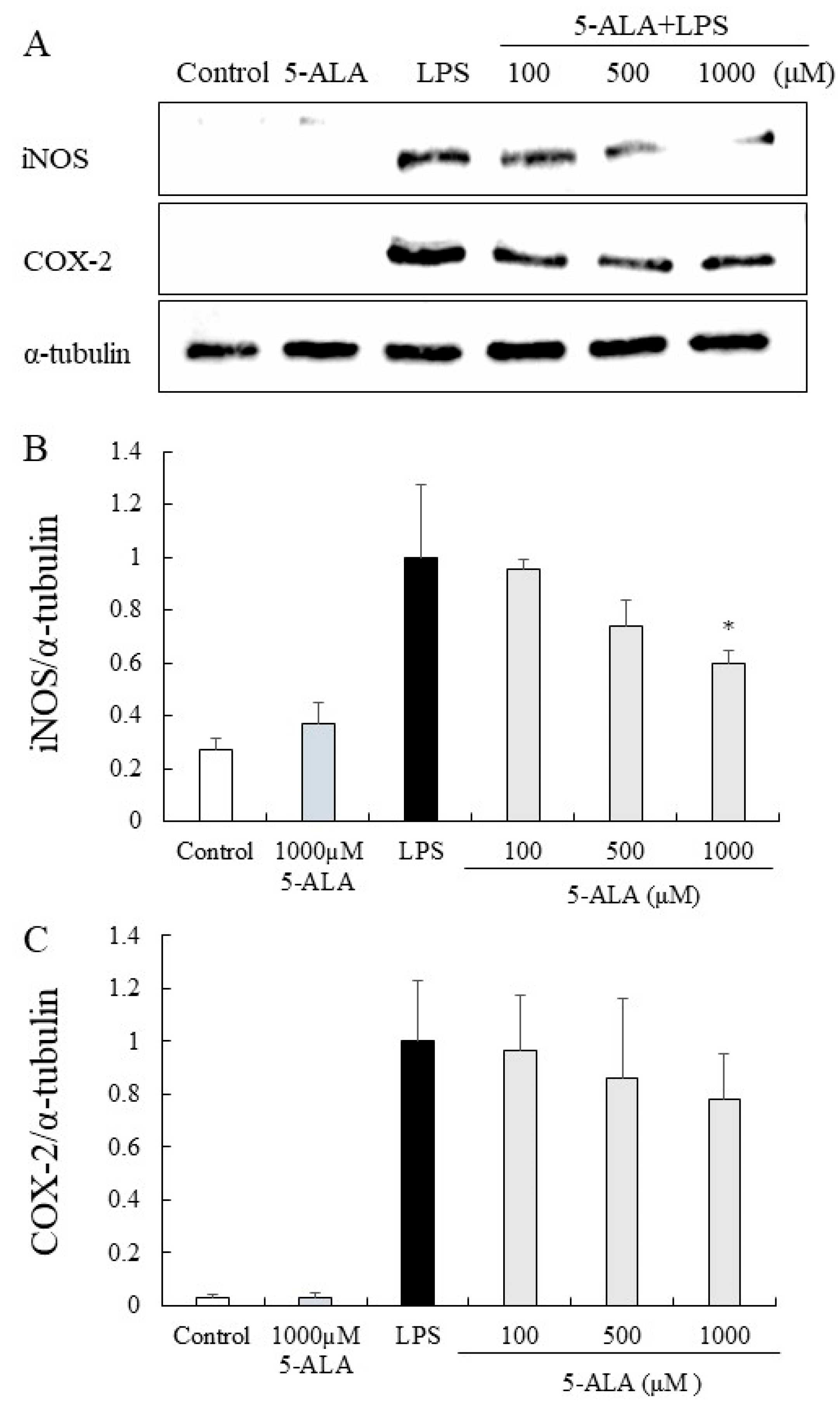 Vetsci 10 00207 g005 Vetsci 10 00207 g005