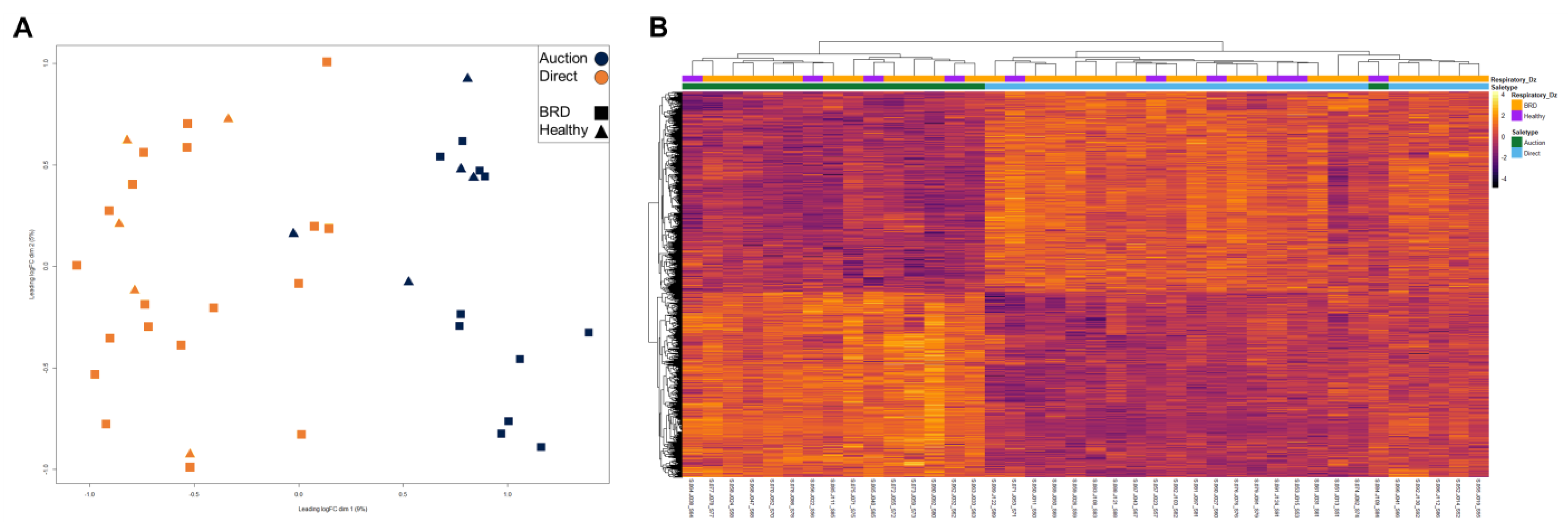 Vetsci 10 00211 g003 Vetsci 10 00211 g003