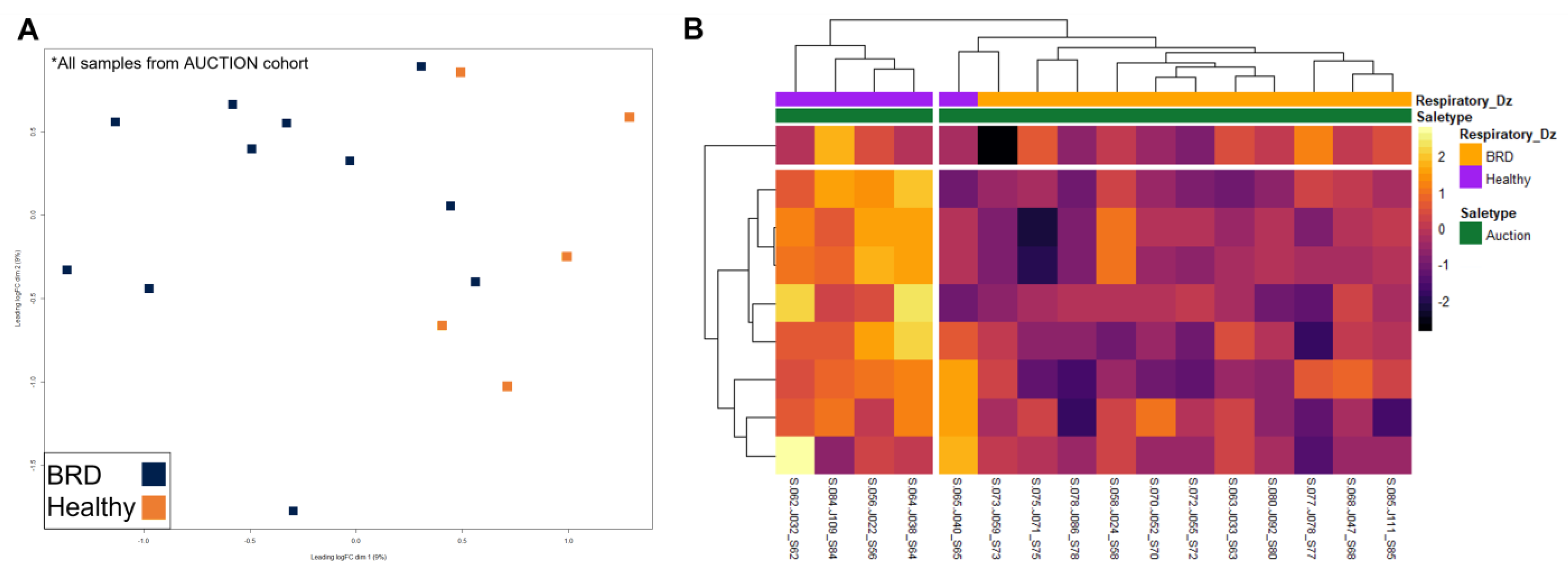 Vetsci 10 00211 g004 Vetsci 10 00211 g004