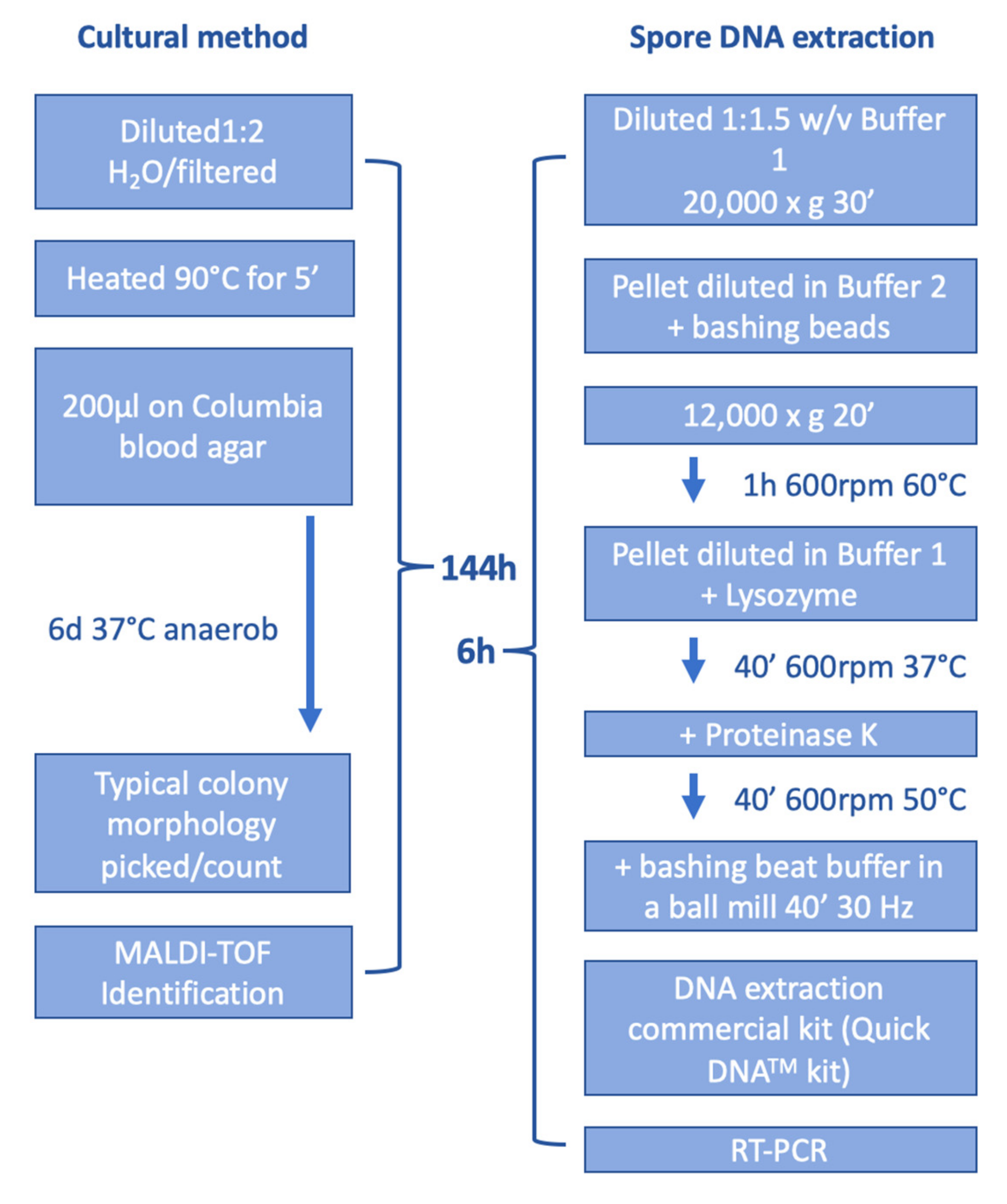 Vetsci 10 00213 g001