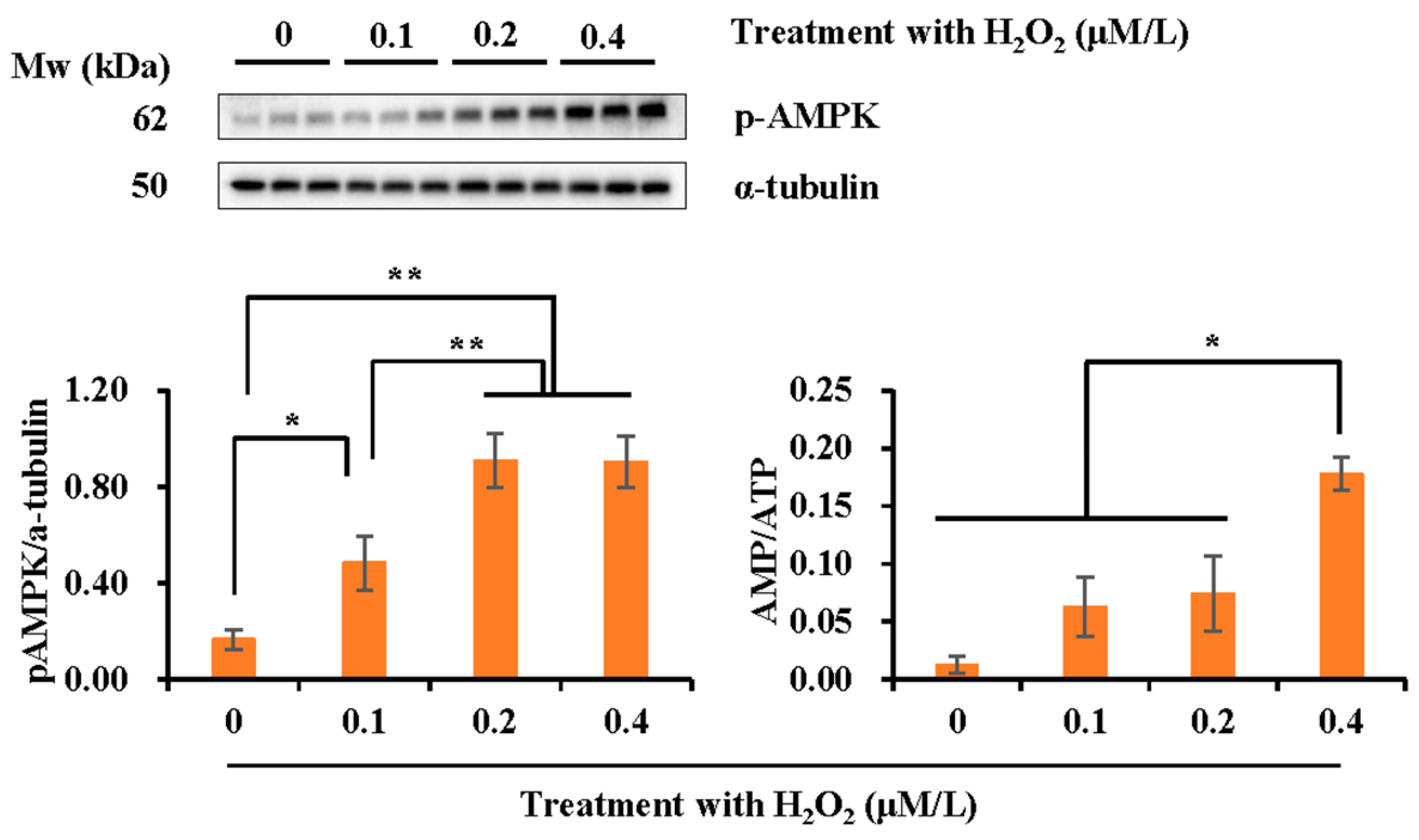 Vetsci 10 00214 g006