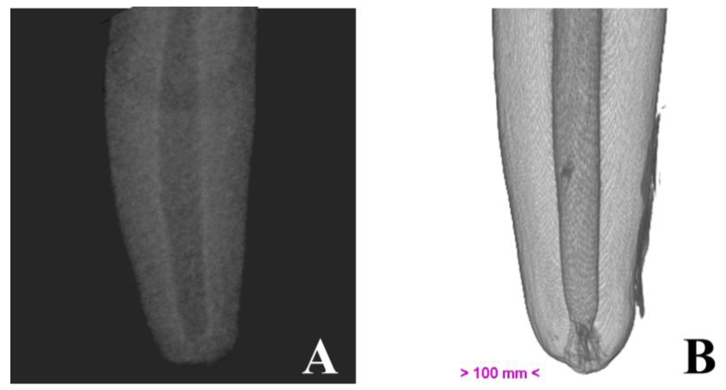 Vetsci 10 00217 g004