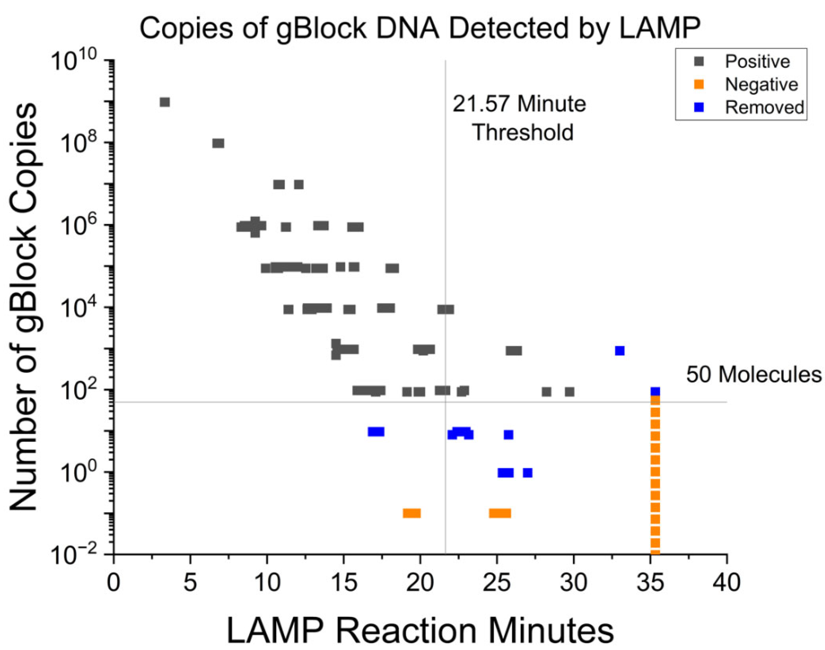 Veterinary Sciences Free FullText RTLAMP as Diagnostic Tool for