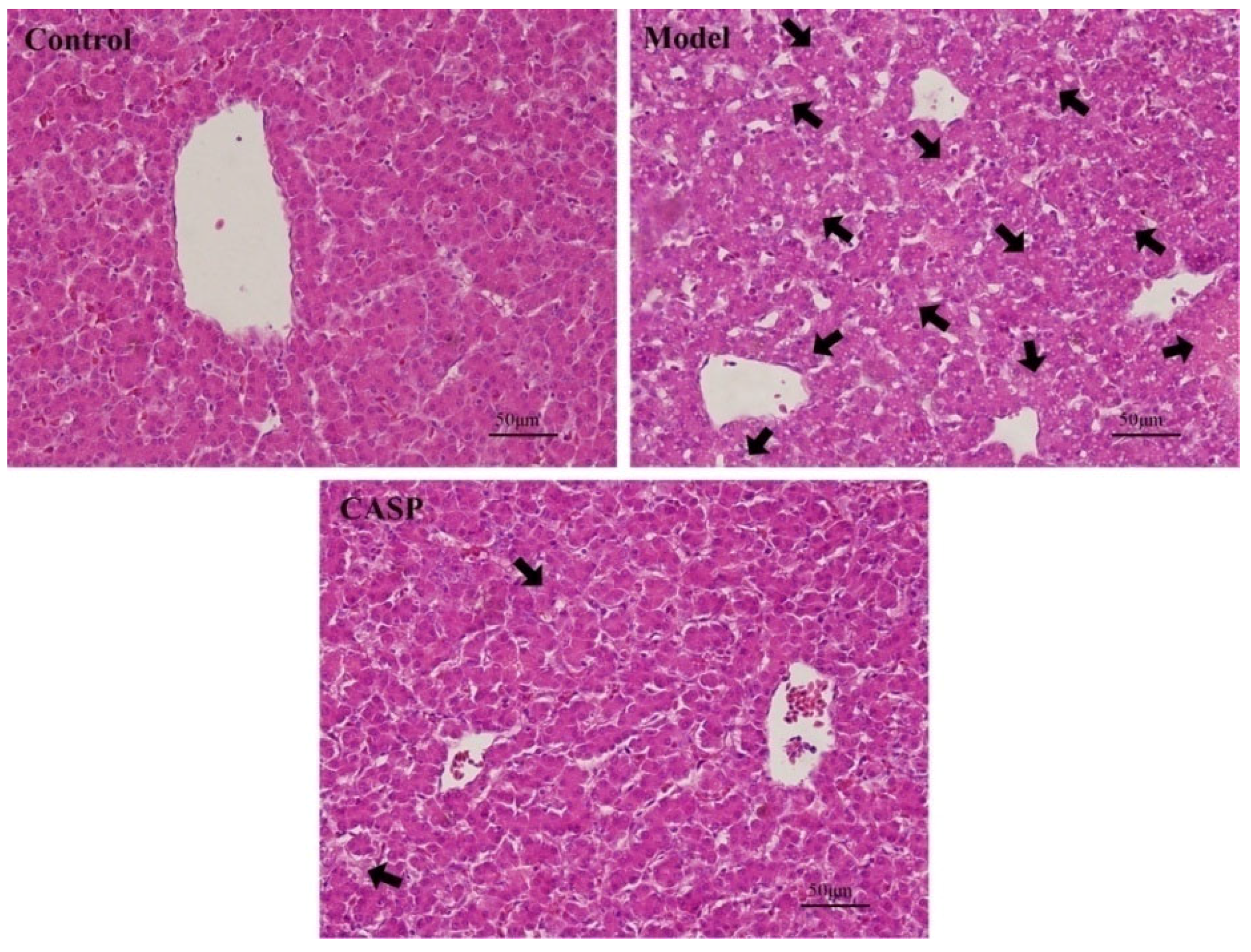 Vetsci 10 00224 g001 550