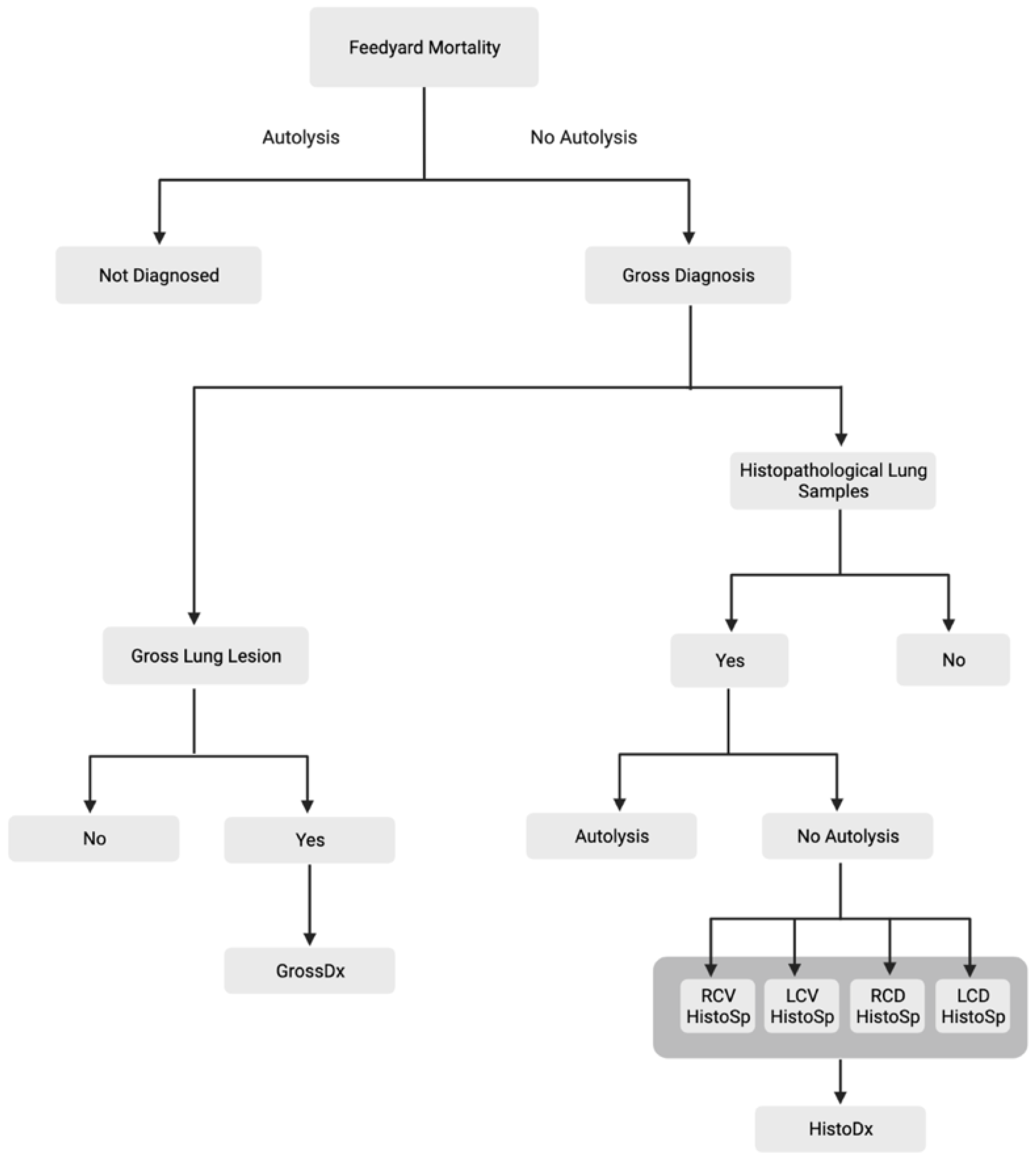 Vetsci 10 00228 g002