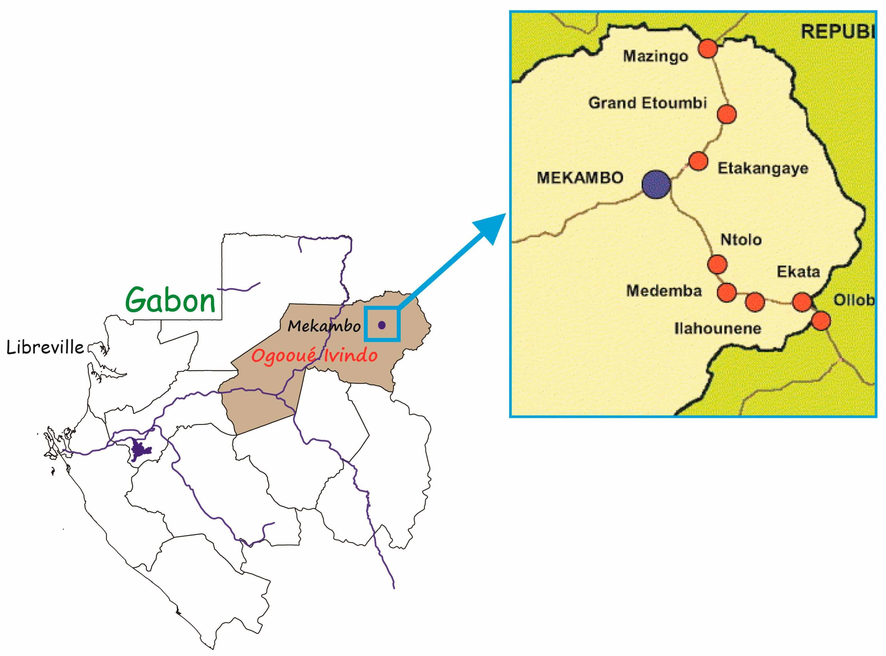 Vetsci 10 00229 g001 Vetsci 10 00229 g001