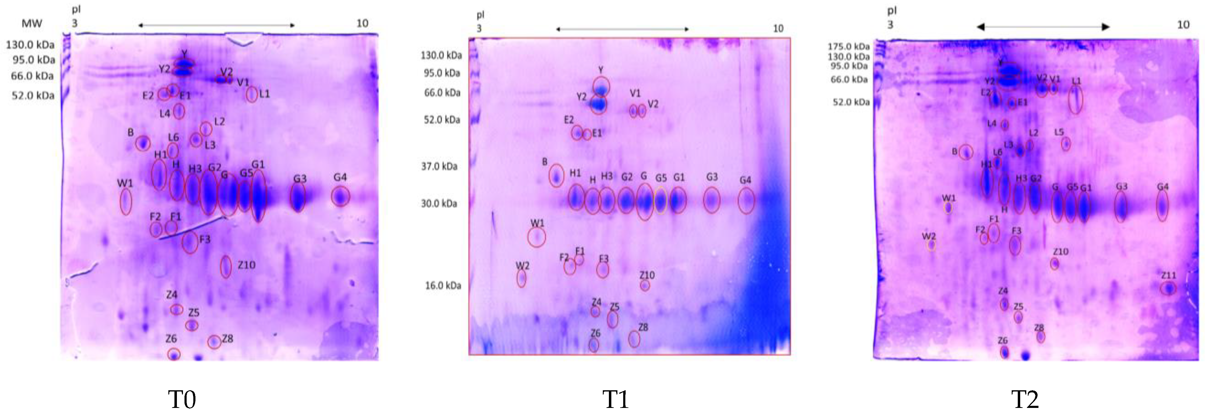 Vetsci 10 00233 g001 Vetsci 10 00233 g001