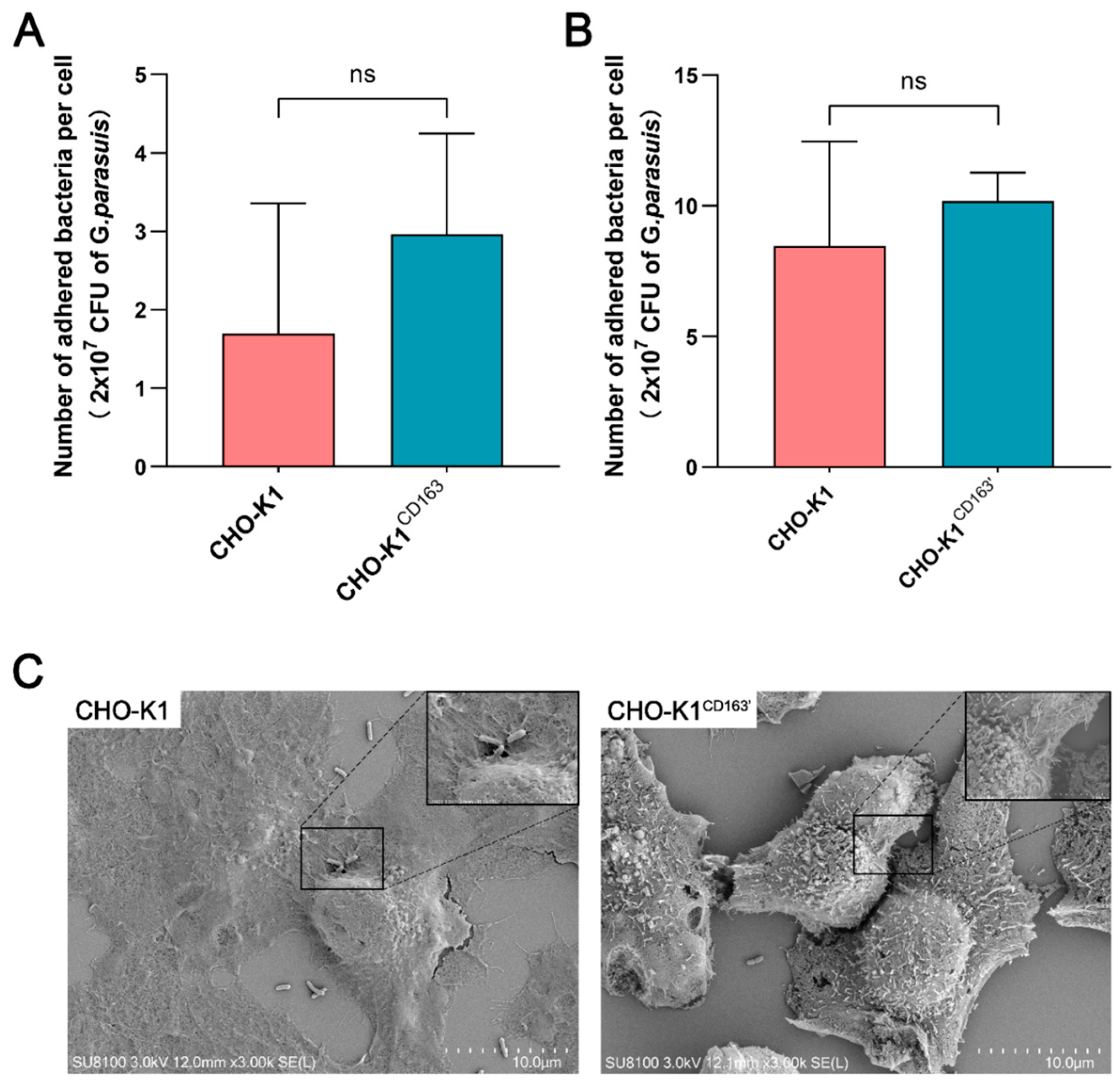 Vetsci 10 00235 g002