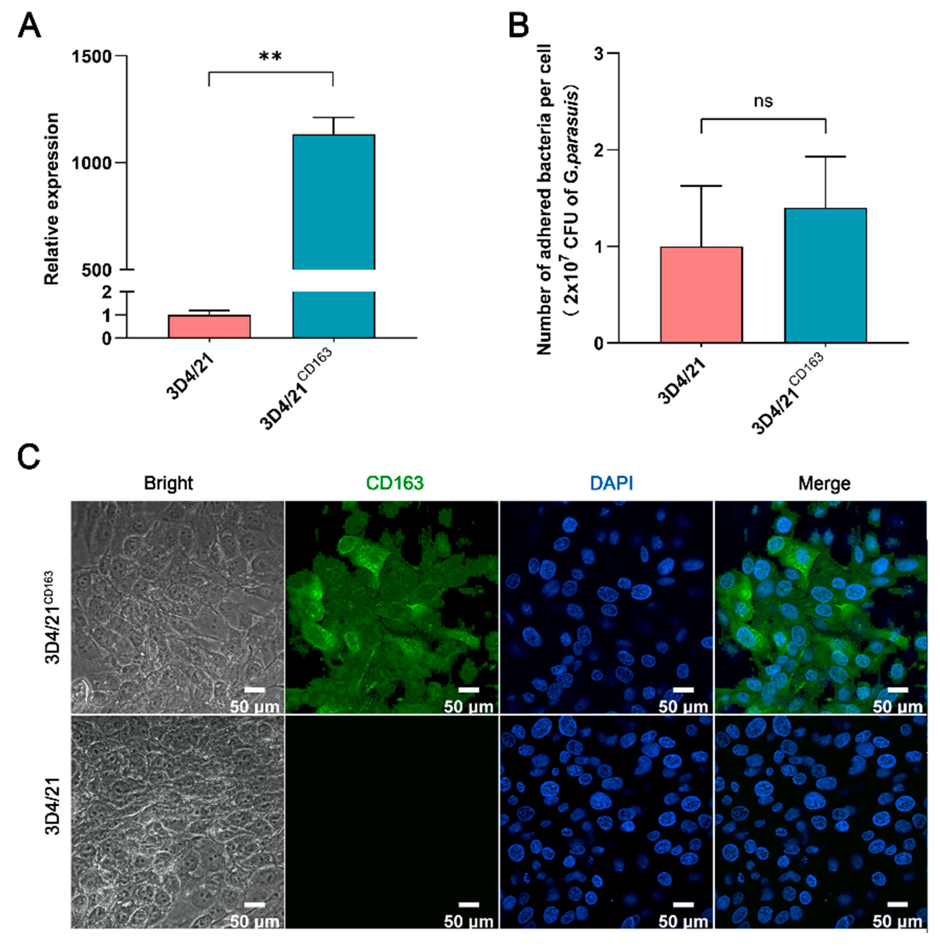 Vetsci 10 00235 g003