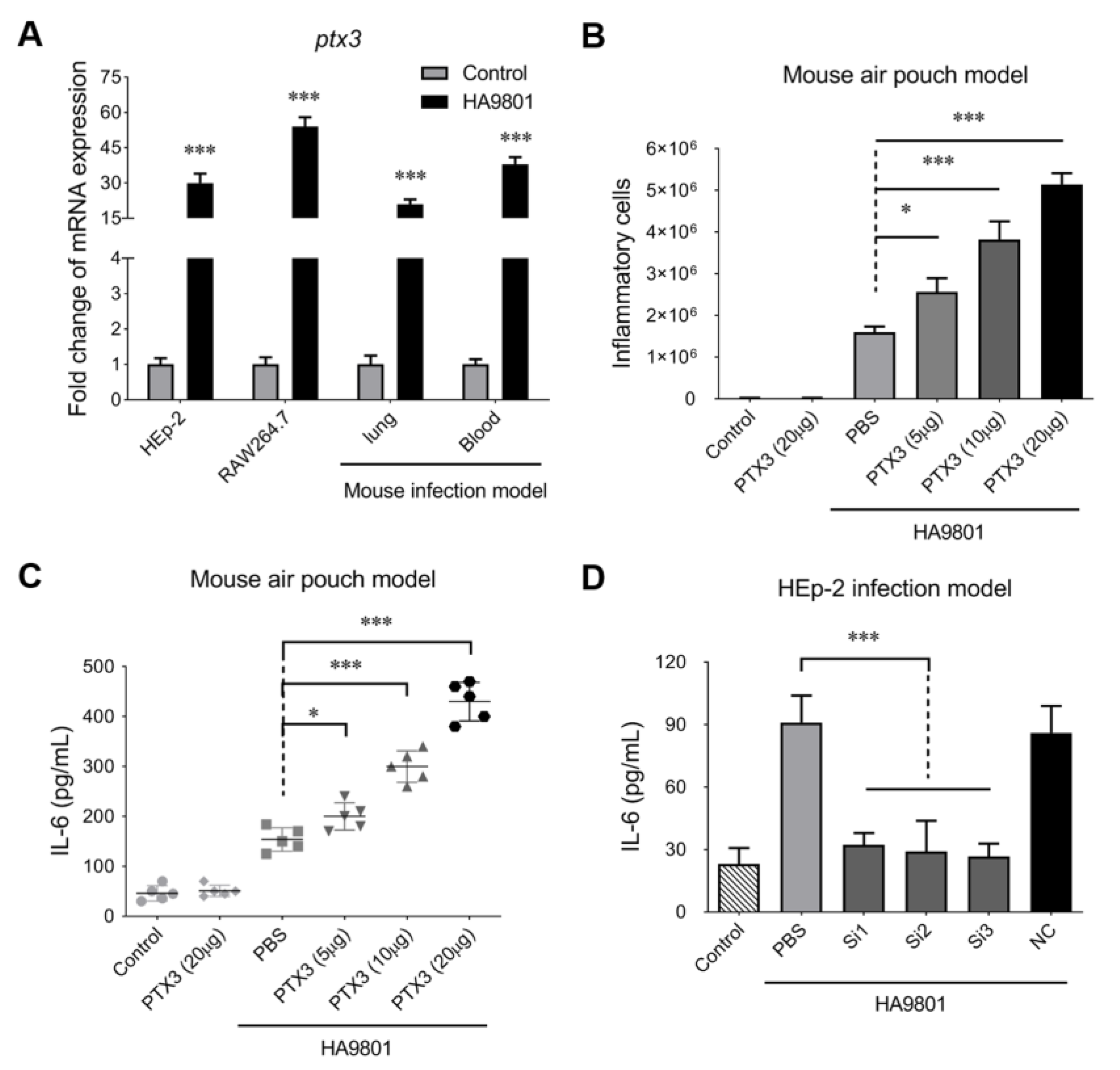 Vetsci 10 00239 g001 Vetsci 10 00239 g001