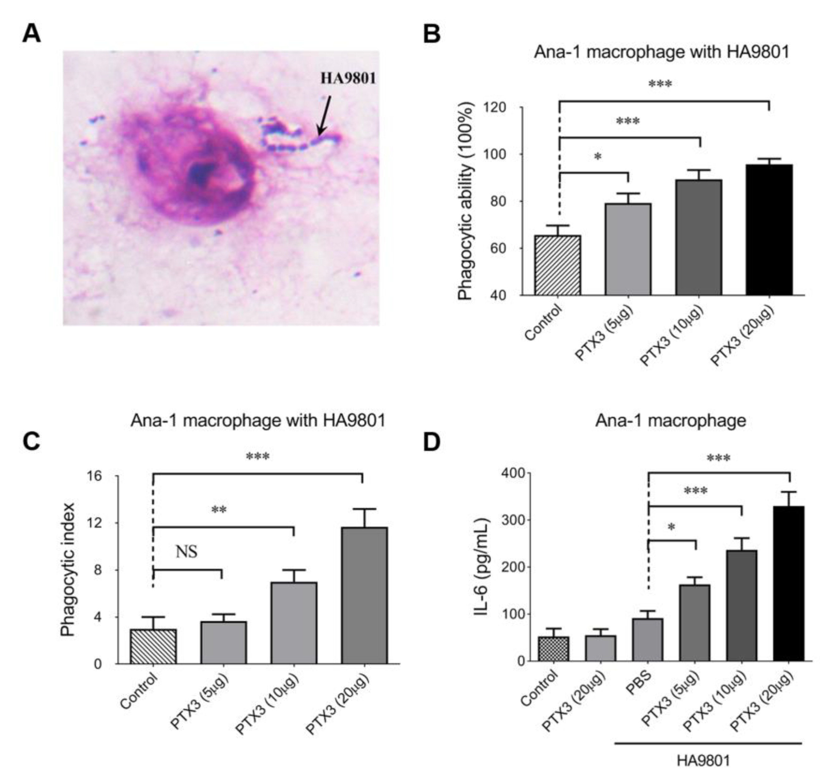 Vetsci 10 00239 g003 Vetsci 10 00239 g003