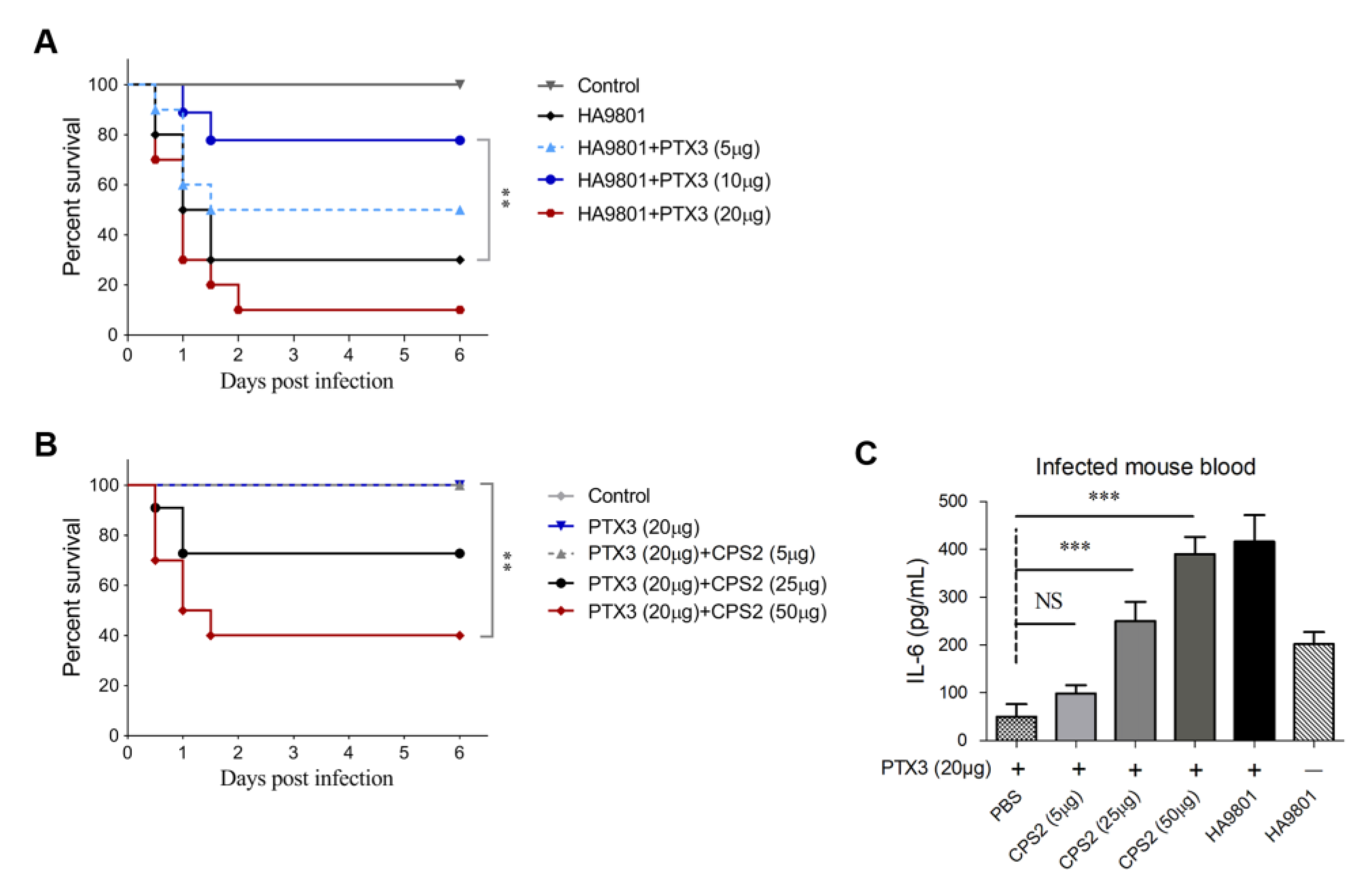 Vetsci 10 00239 g005 Vetsci 10 00239 g005