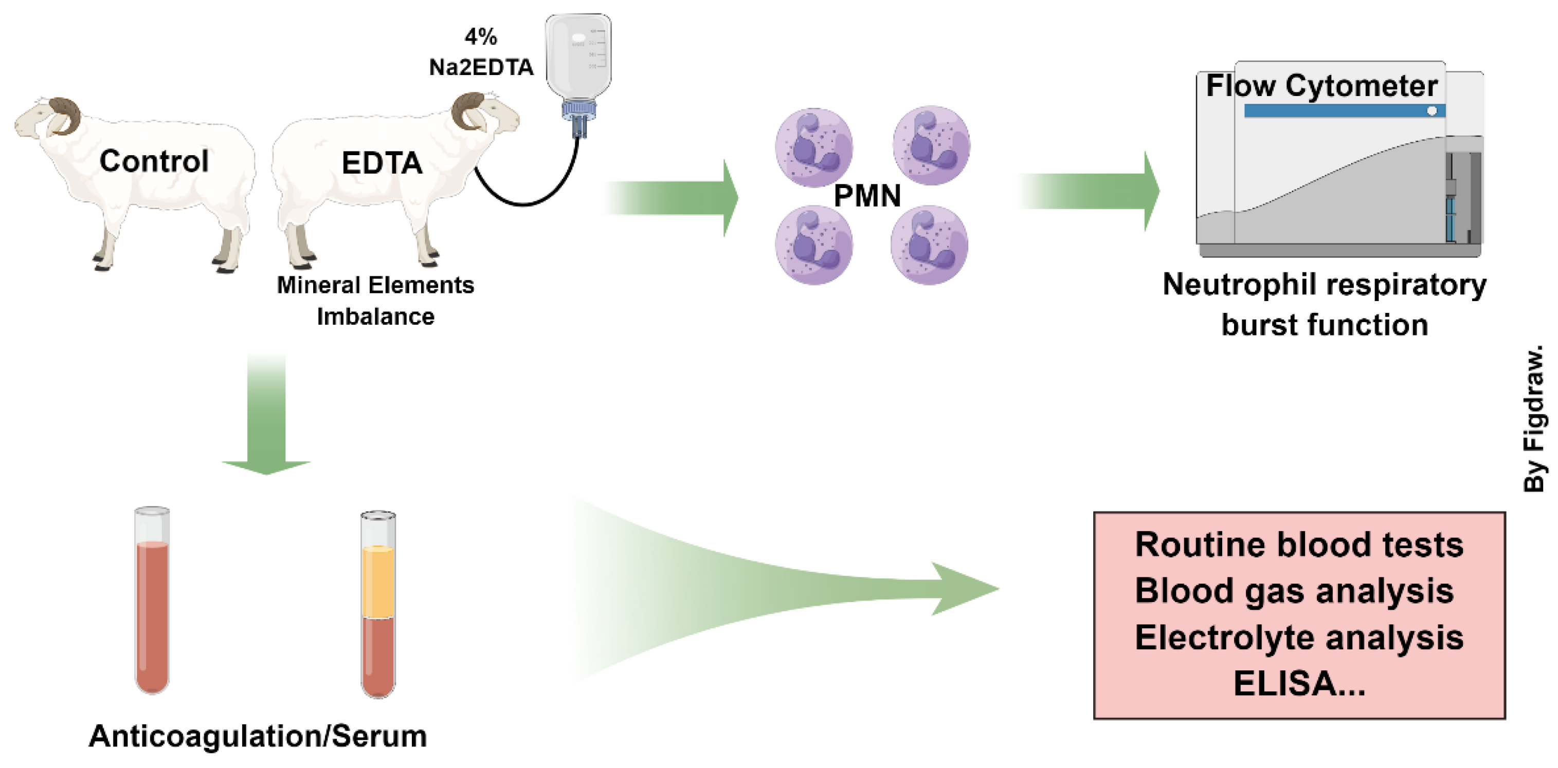 Vetsci 10 00241 g001 Vetsci 10 00241 g001