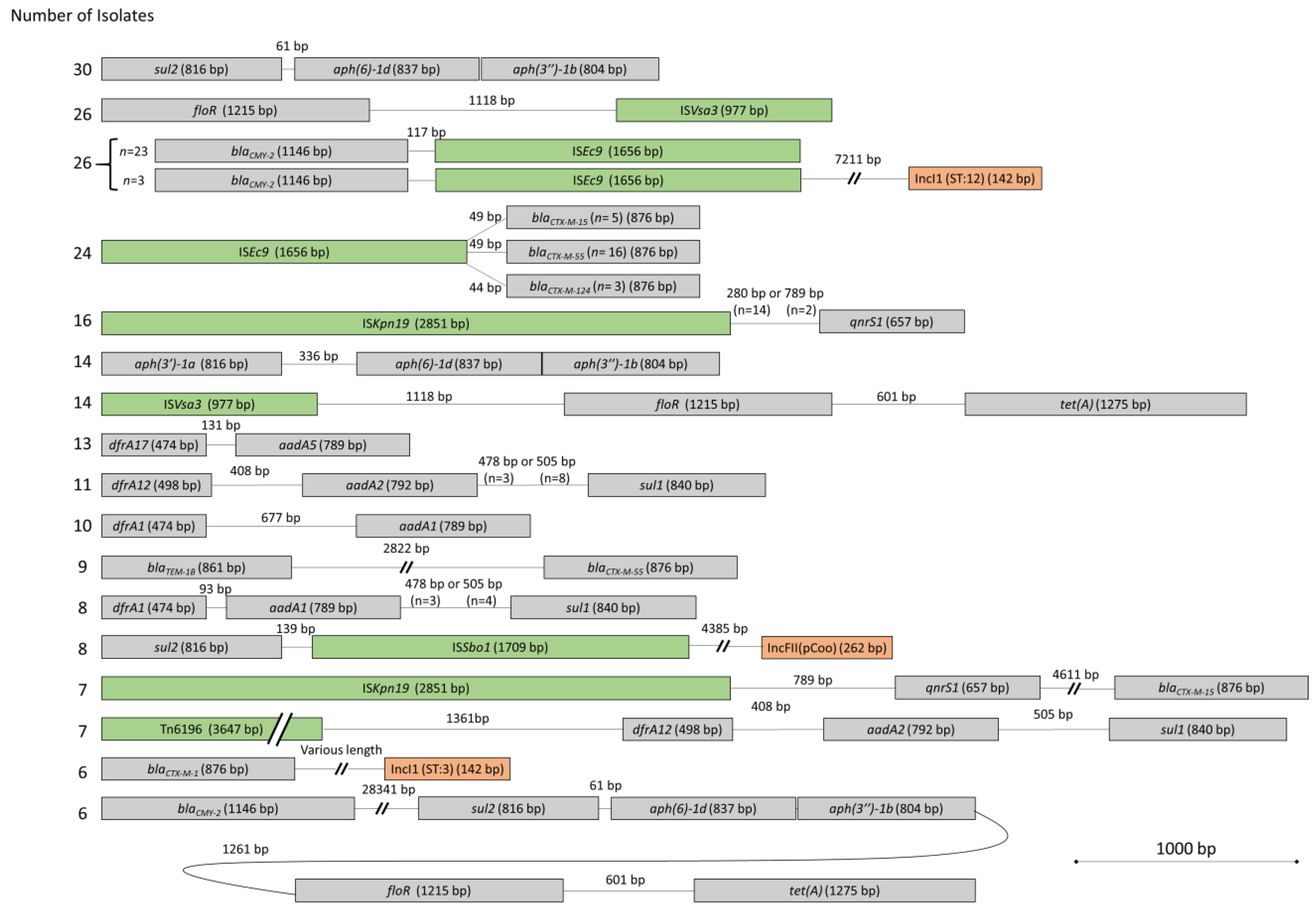 Vetsci 10 00242 g002 Vetsci 10 00242 g002