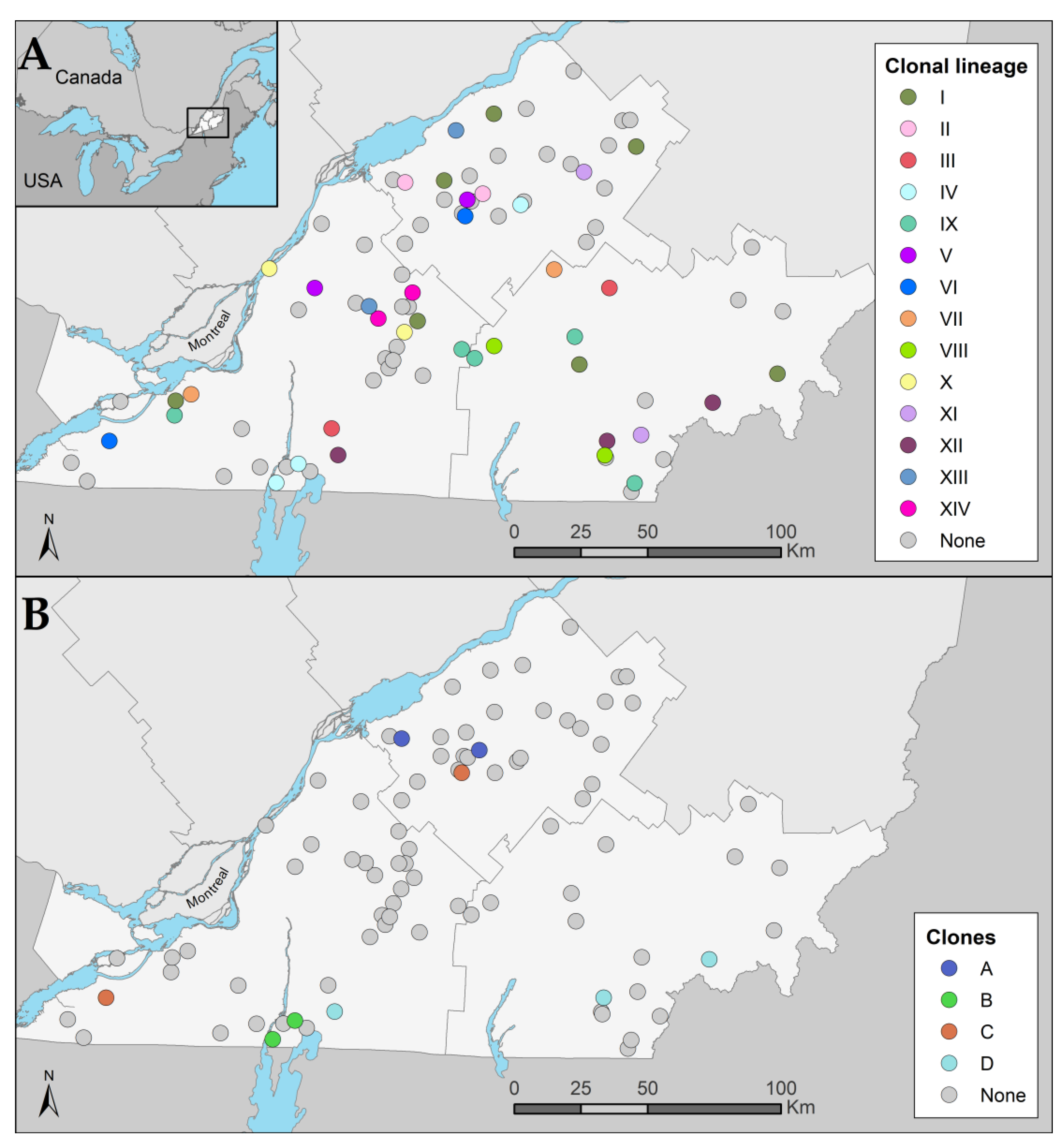 Vetsci 10 00242 g004 Vetsci 10 00242 g004