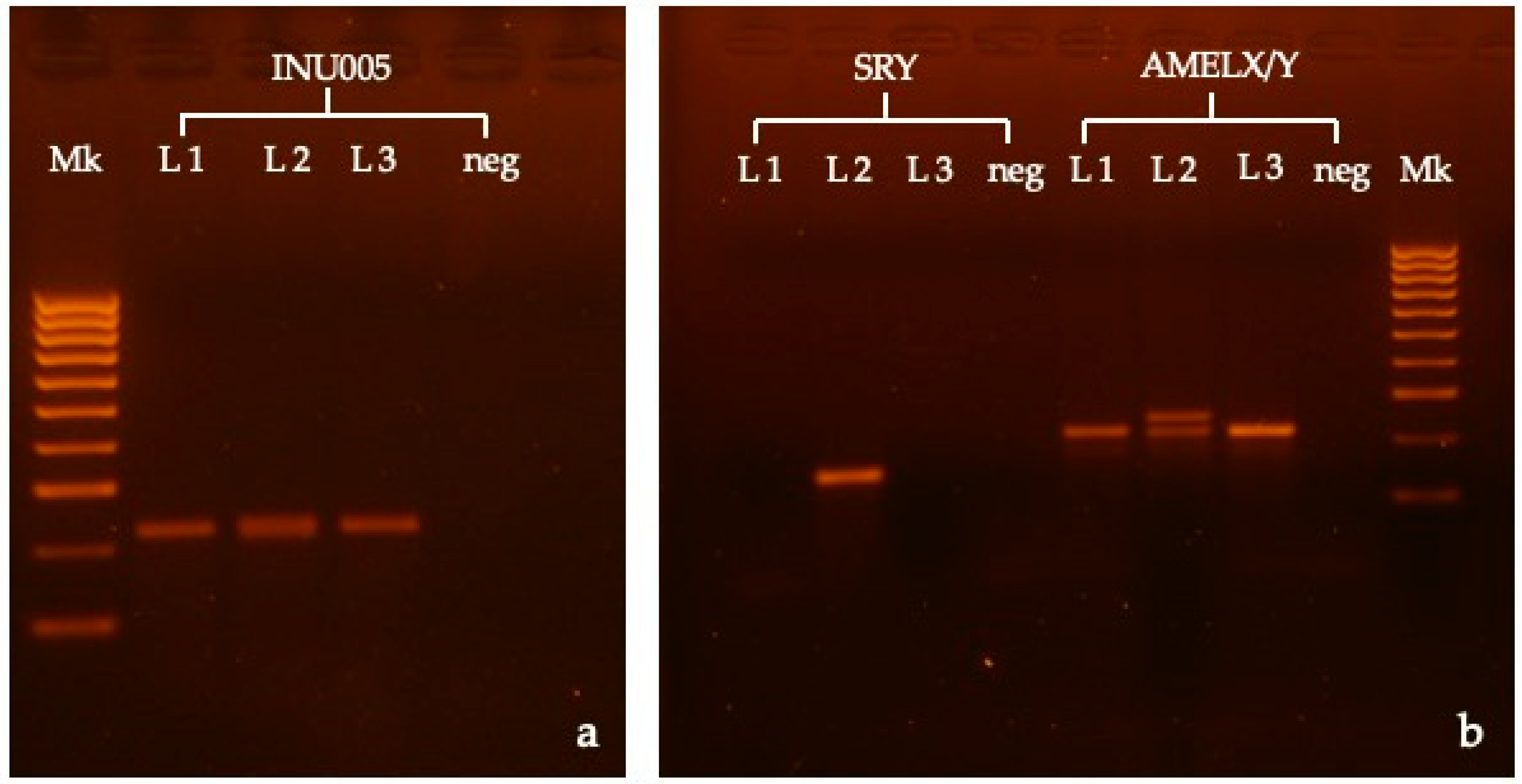Vetsci 10 00251 g003