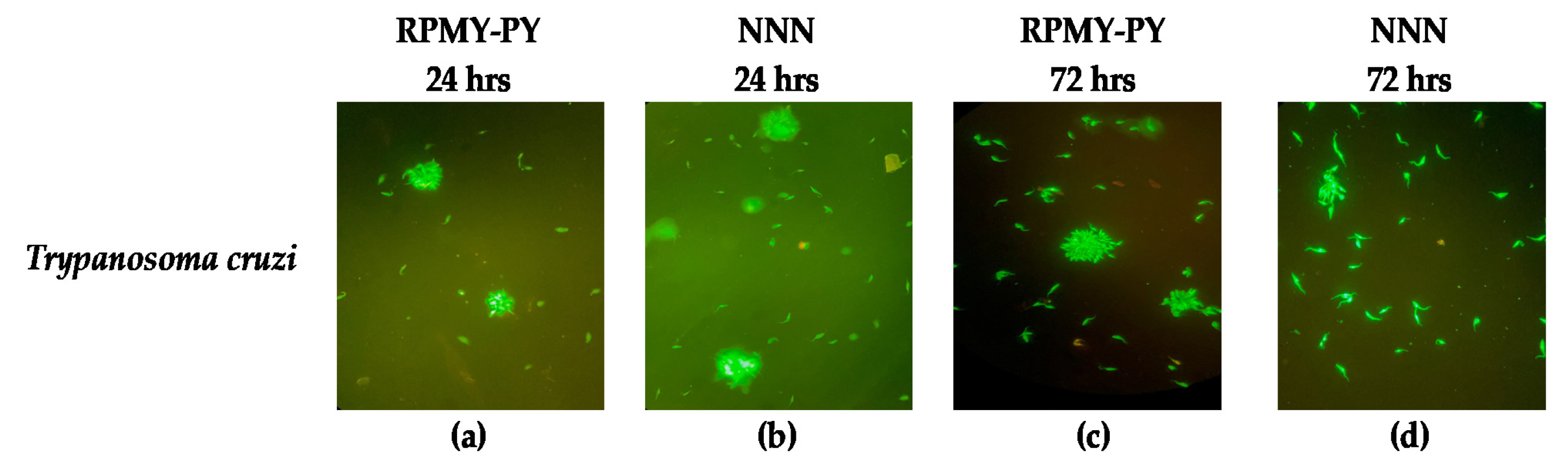 Vetsci 10 00252 g004 Vetsci 10 00252 g004