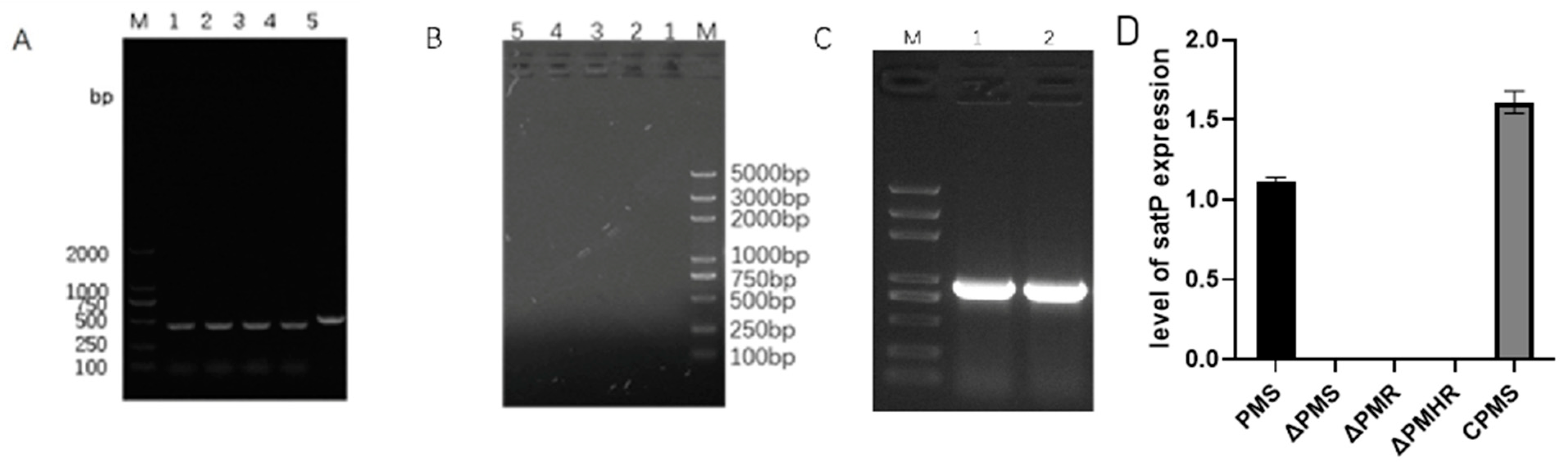 Vetsci 10 00257 g002