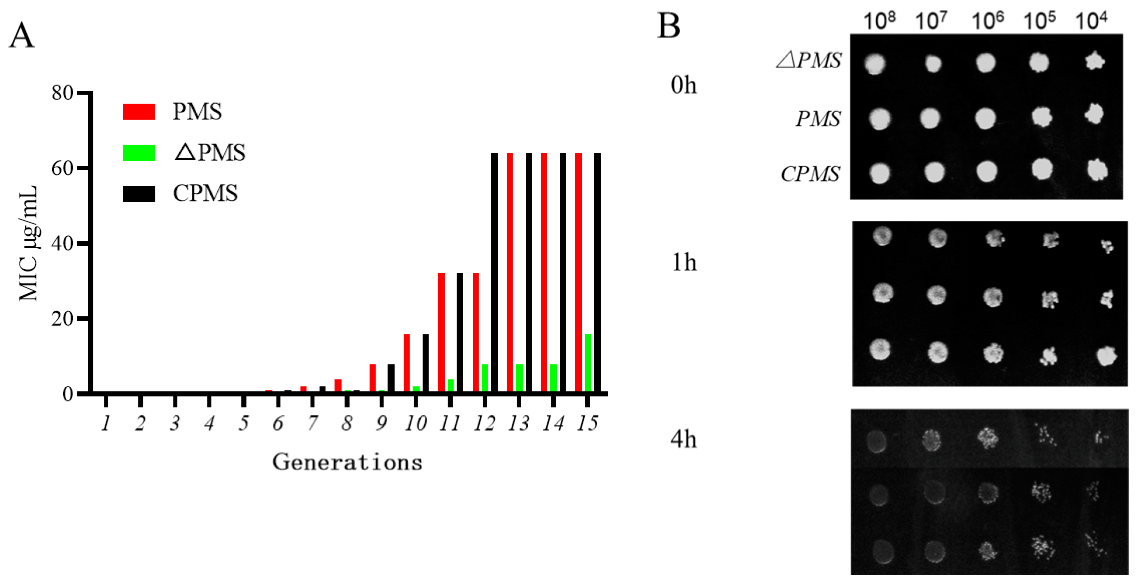 Vetsci 10 00257 g003