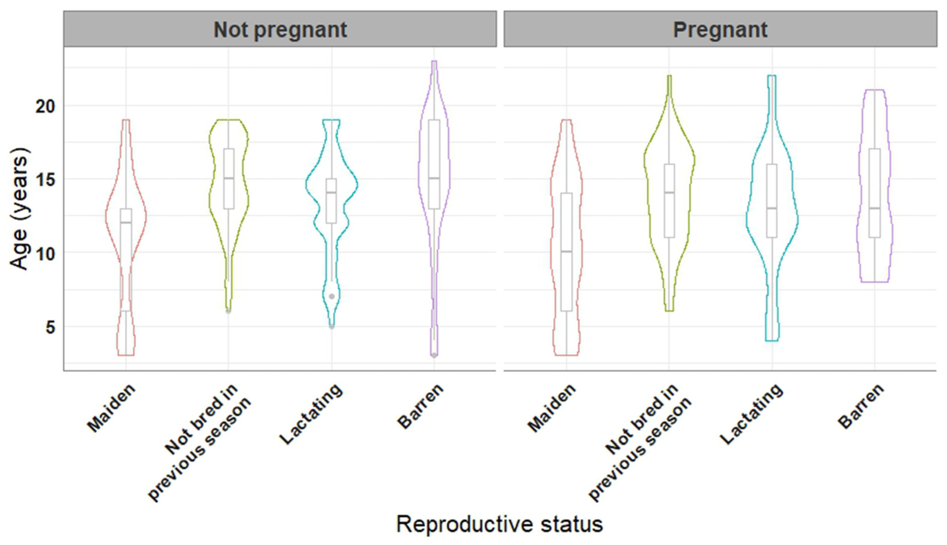 Vetsci 10 00259 g001