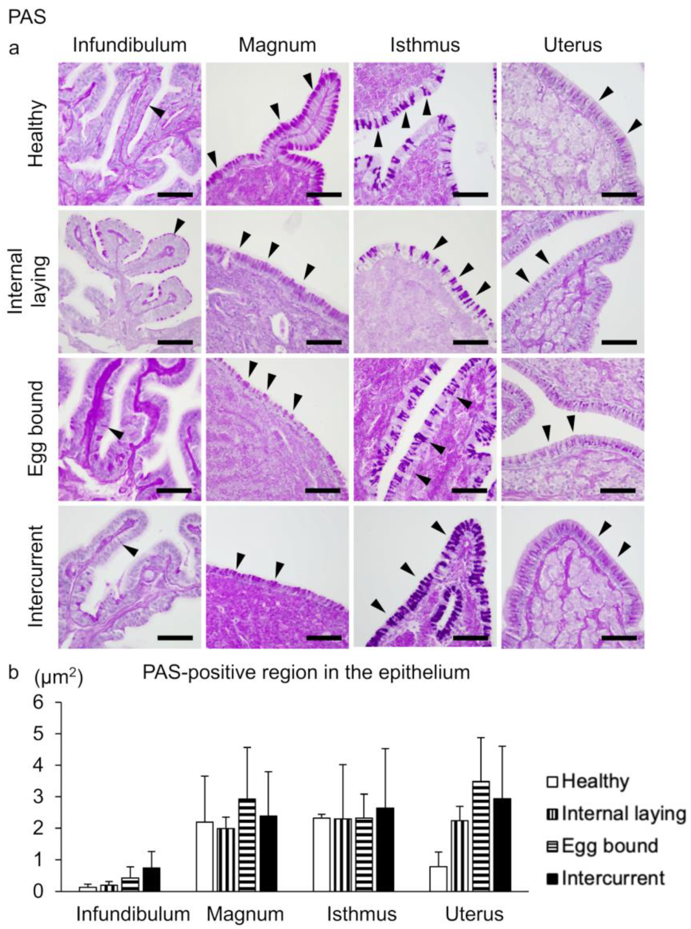 Vetsci 10 00260 g005