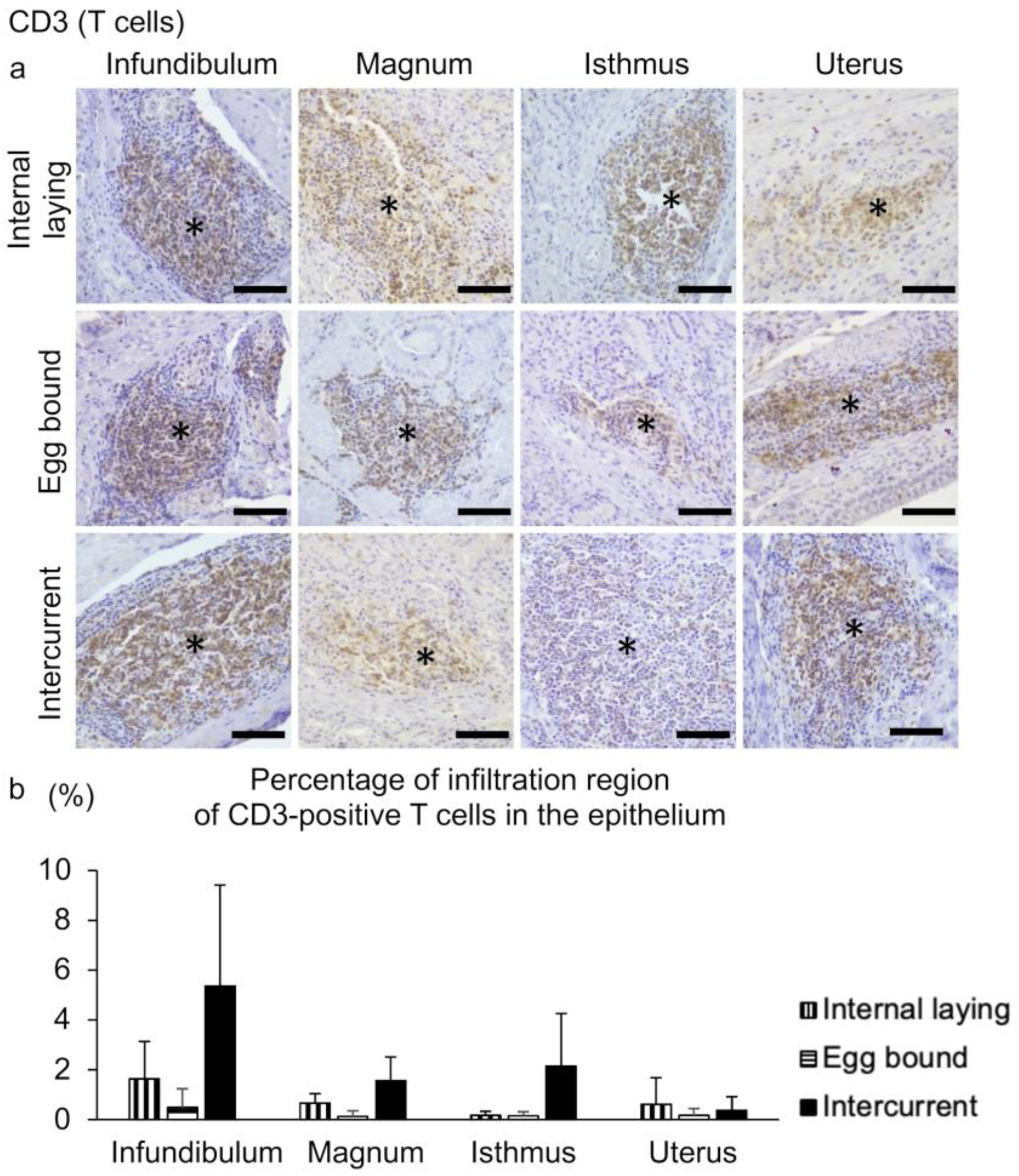 Vetsci 10 00260 g006