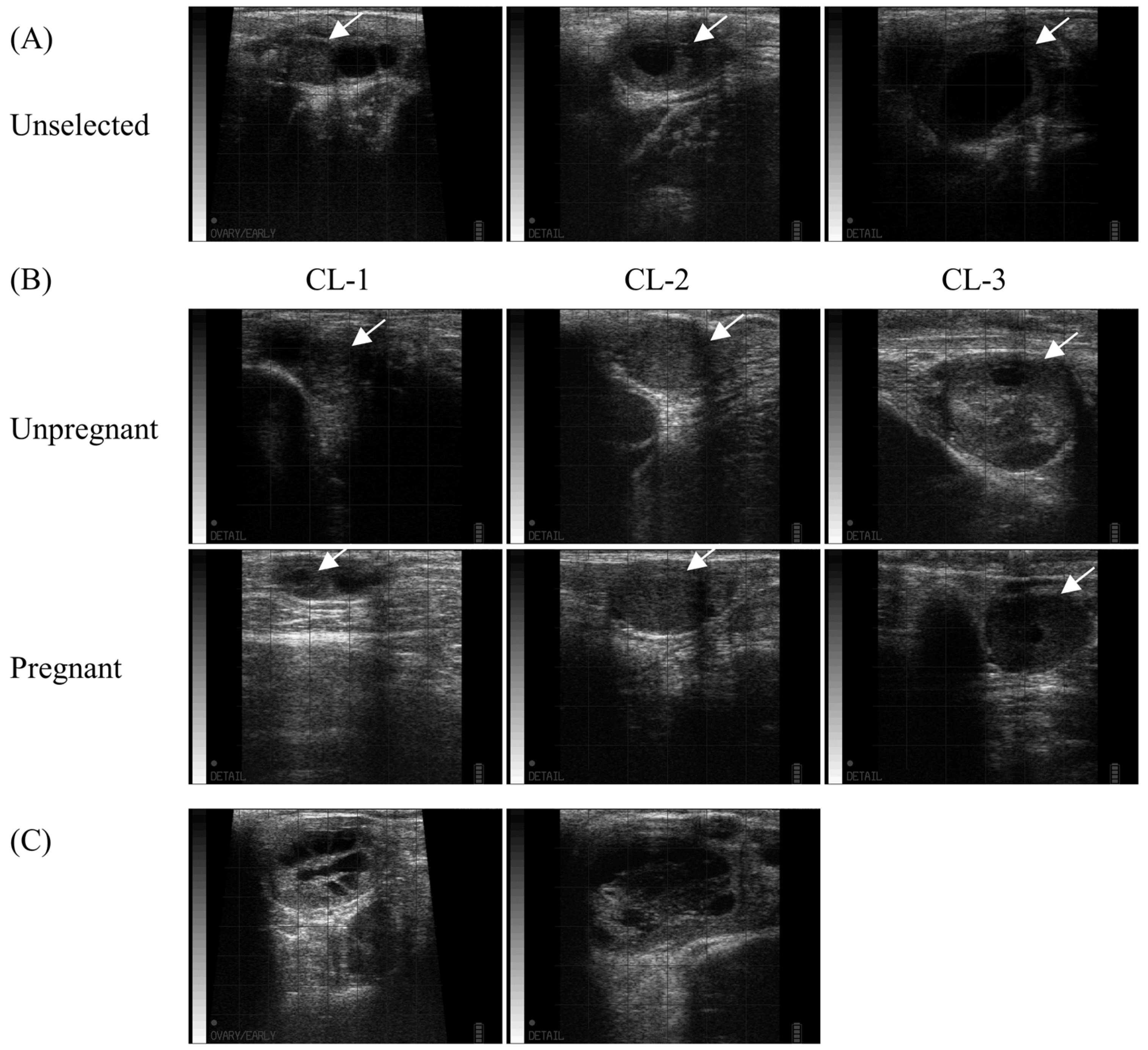 Vetsci 10 00262 g002 Vetsci 10 00262 g002