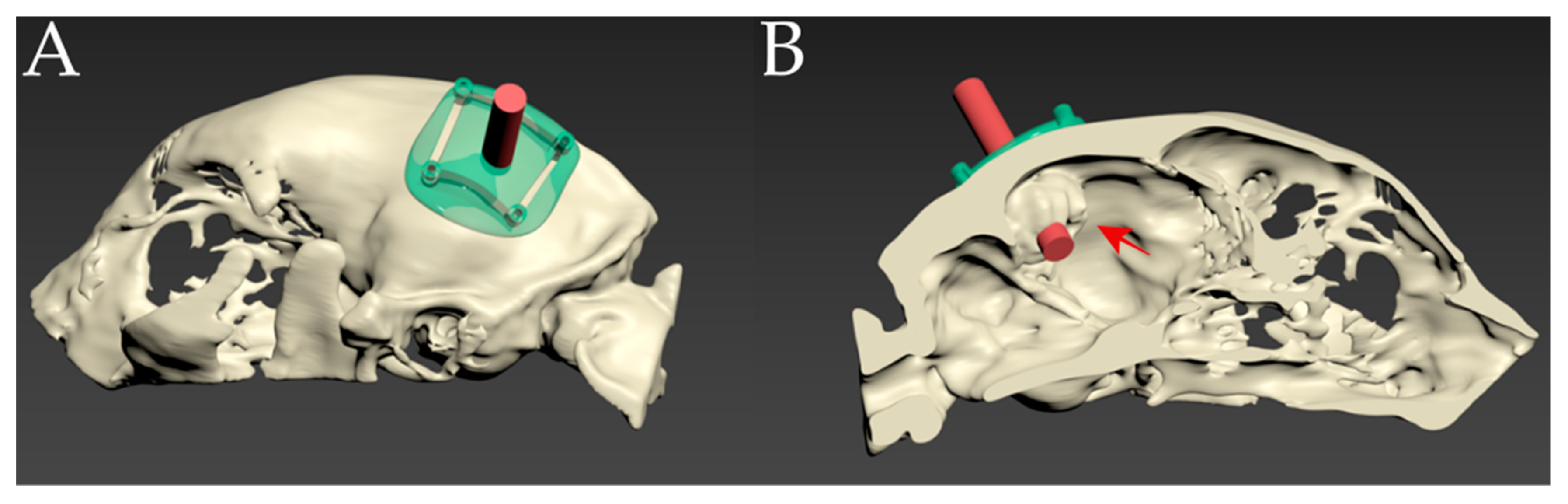 Vetsci 10 00264 g004 Vetsci 10 00264 g004
