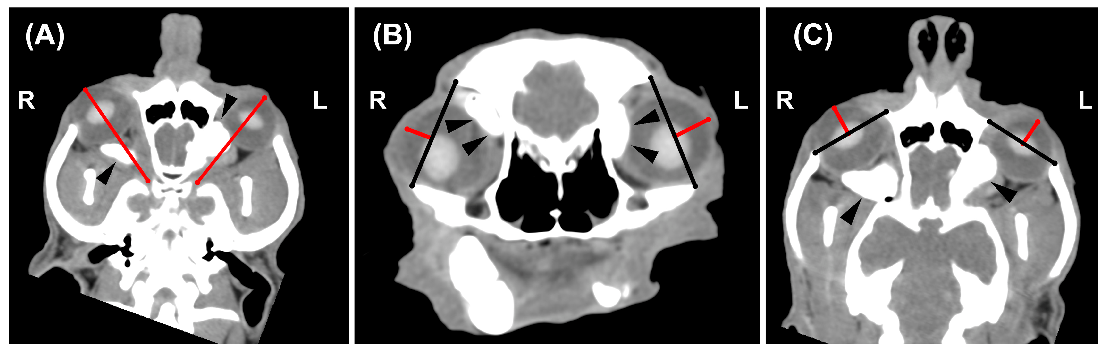 Vetsci 10 00267 g002 550