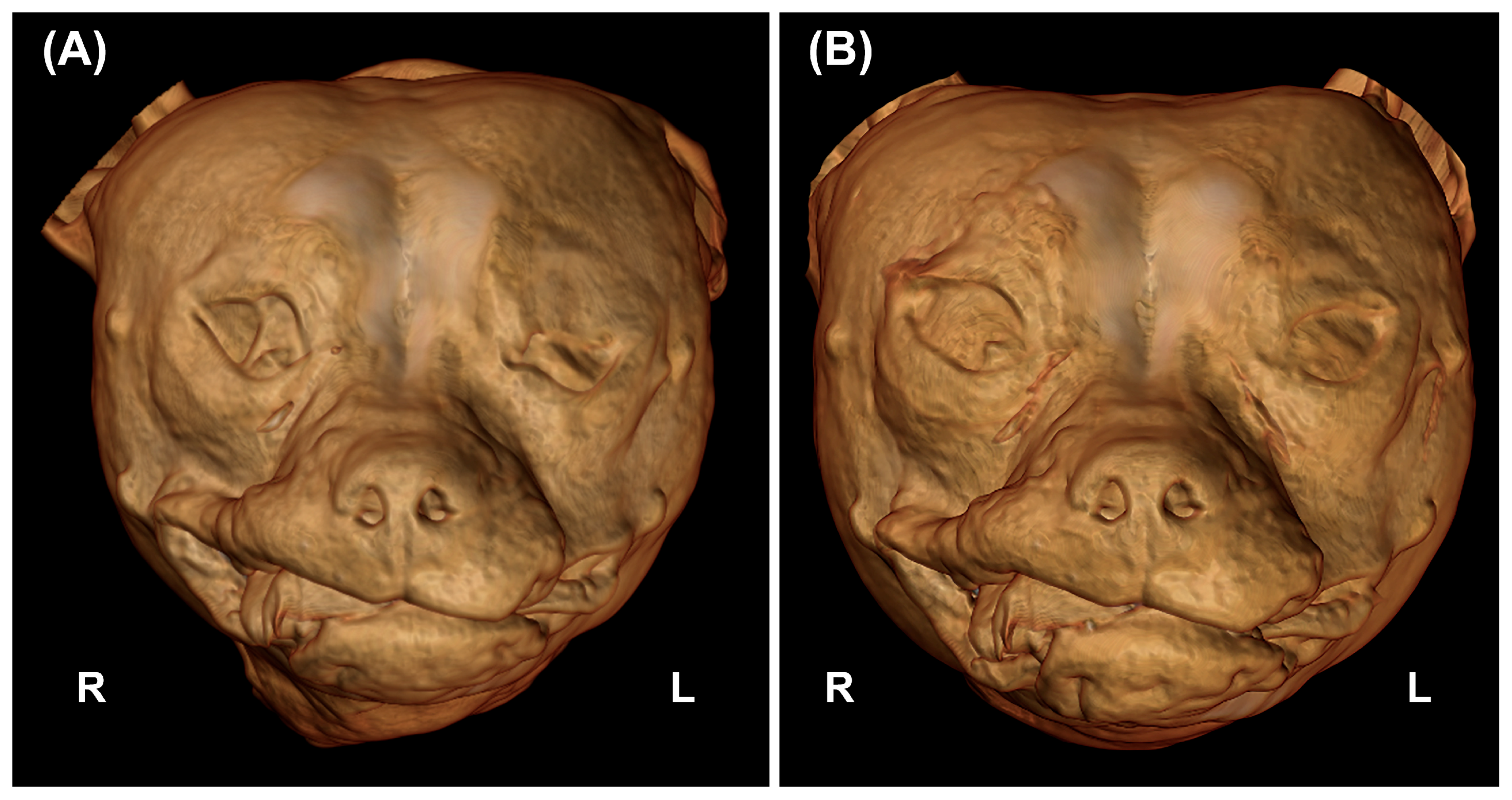 Vetsci 10 00267 g003 550