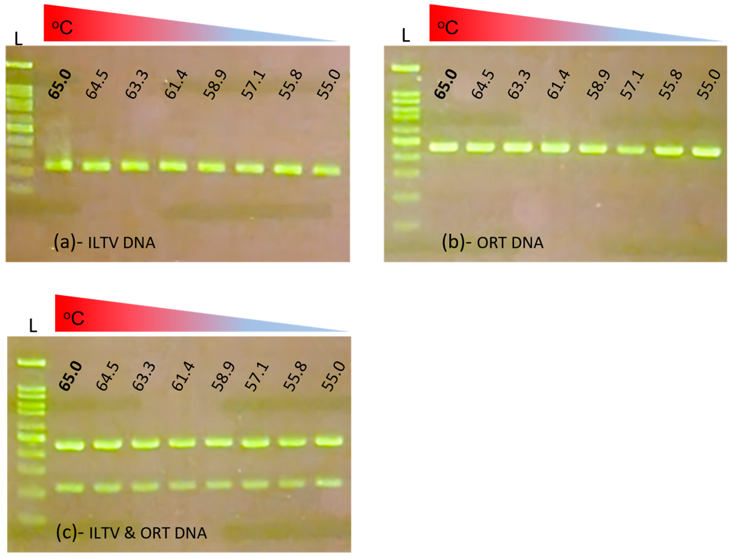 Veterinary Sciences Free FullText A Multiplex PCR Method for
