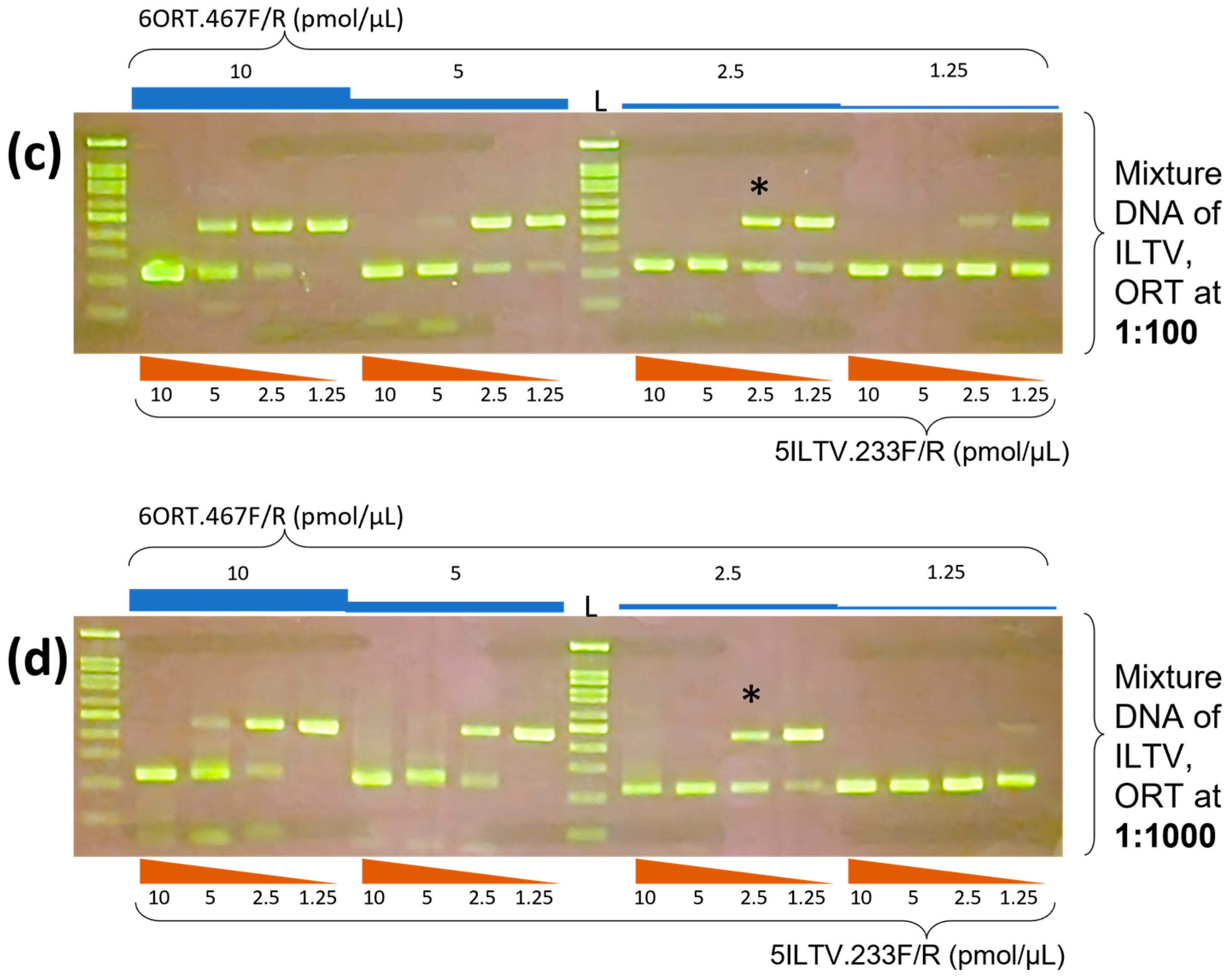 Vetsci 10 00272 g002b
