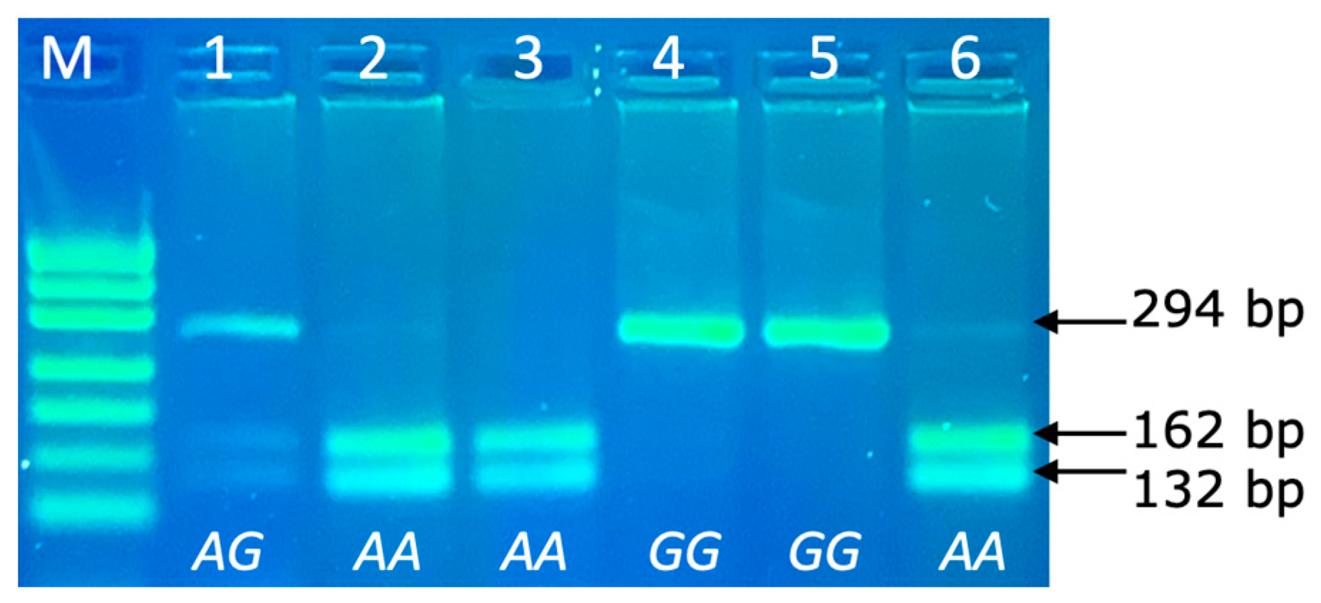 Vetsci 10 00275 g003